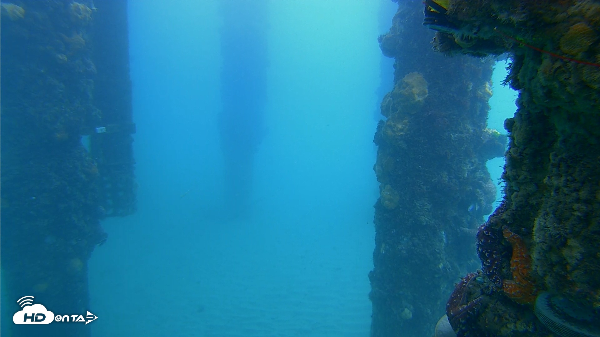 Snapshot of Scripps Pier Underwater Live Webcam taken May 1, 2025, 7:20am PDT