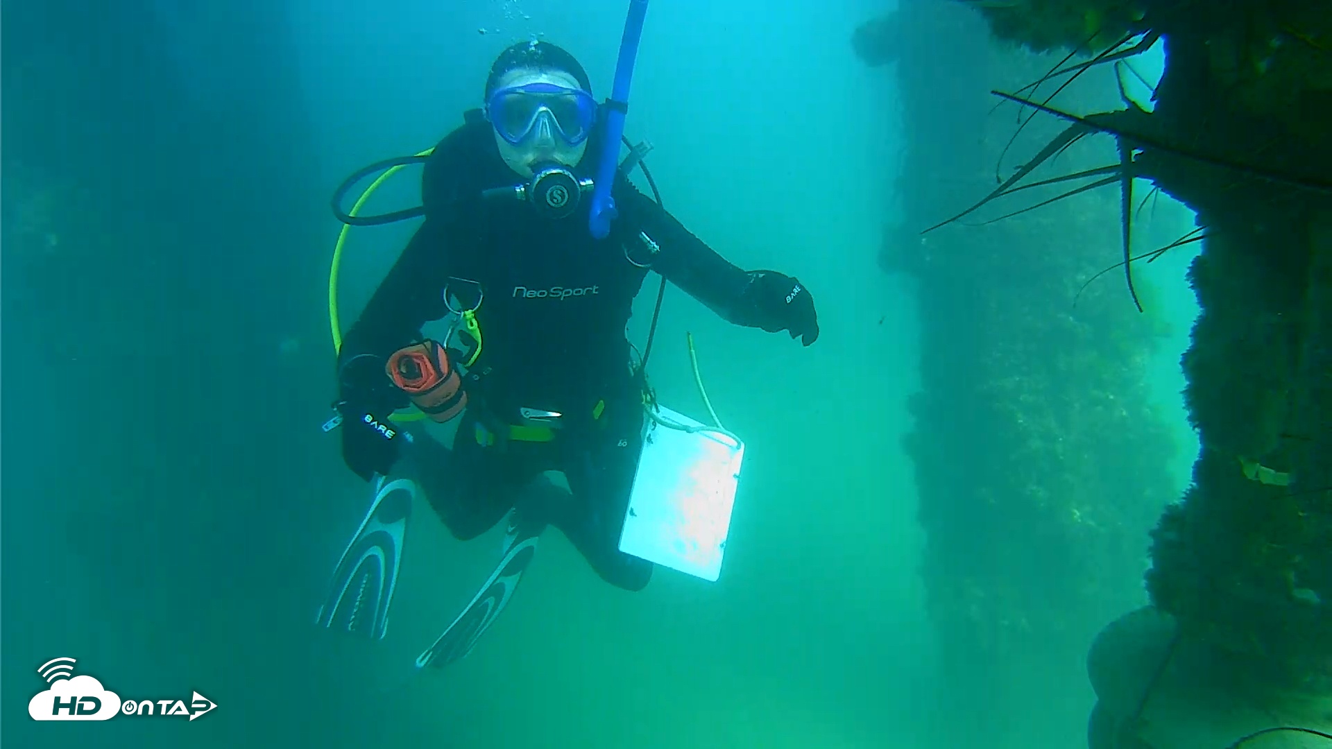 Snapshot of Scripps Pier Underwater Live Webcam taken Sep 10, 2025, 3:32pm PDT