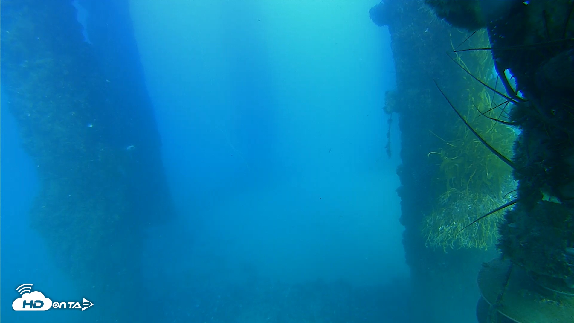 Snapshot of Scripps Pier Underwater Live Webcam taken Oct 15, 2025, 5:04pm PDT