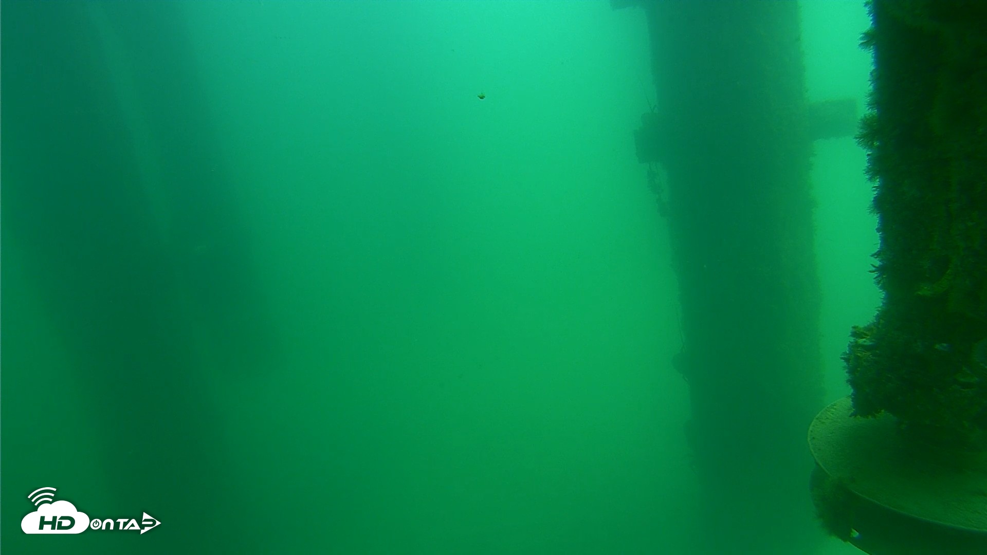 Snapshot of Scripps Pier Underwater Live Webcam taken Aug 14, 2026, 12:40pm PDT