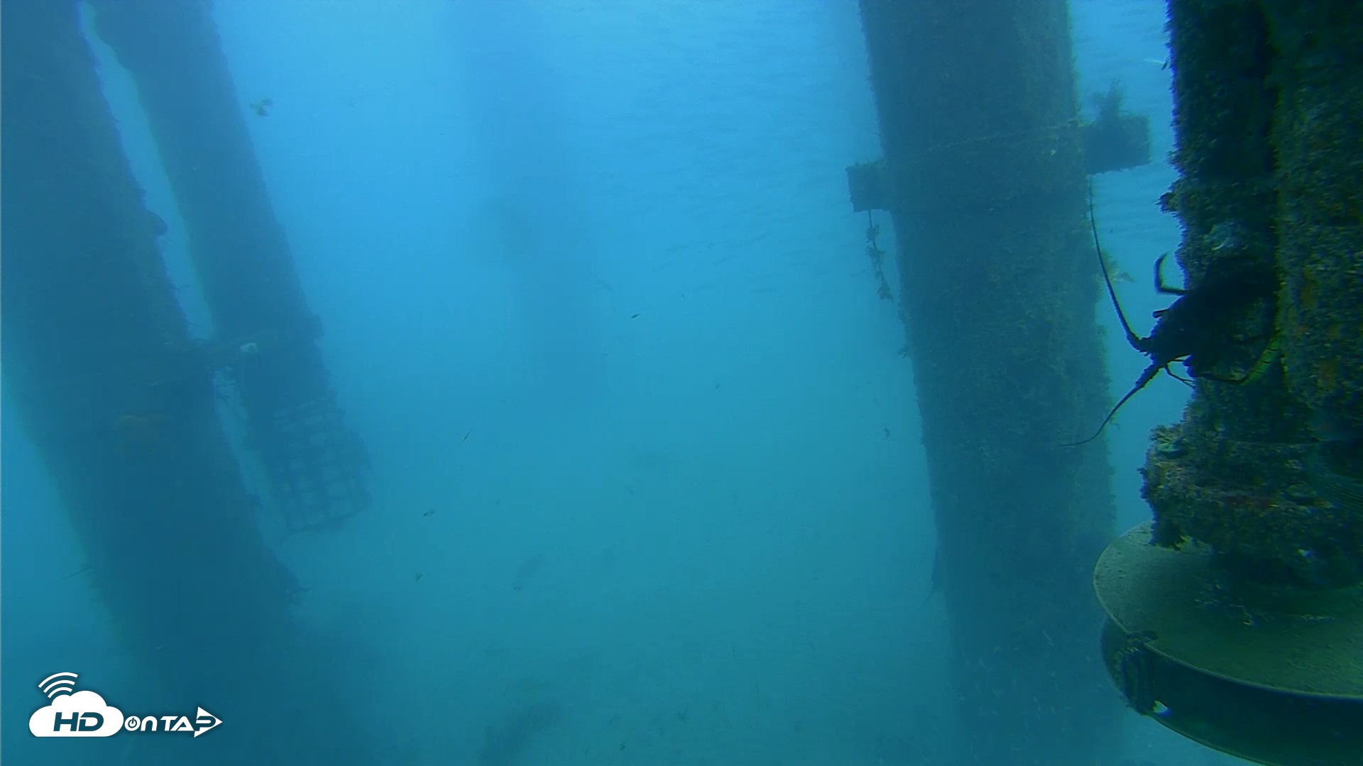 Snapshot of Scripps Pier Underwater Live Webcam taken Jul 30, 2026, 7:02am PDT