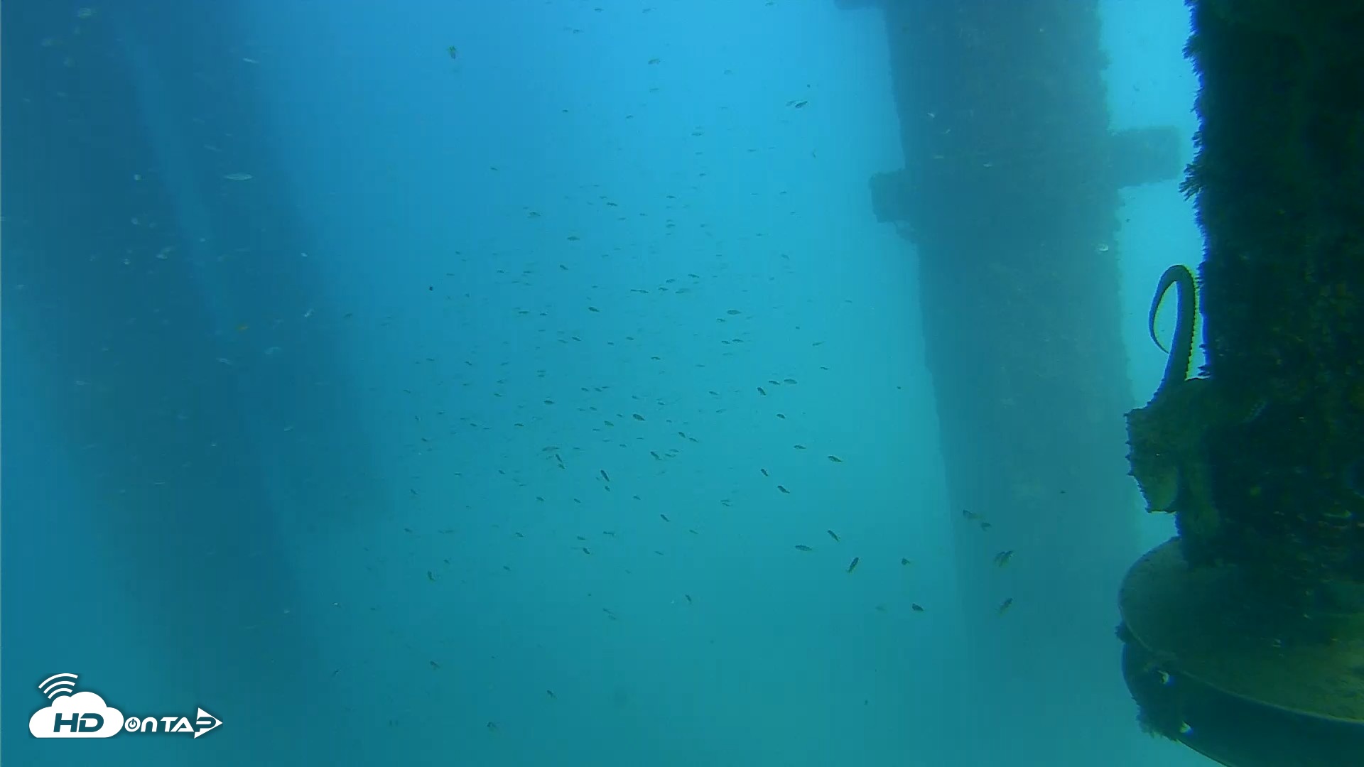 Snapshot of Scripps Pier Underwater Live Webcam taken Aug 27, 2026, 3:21pm PDT