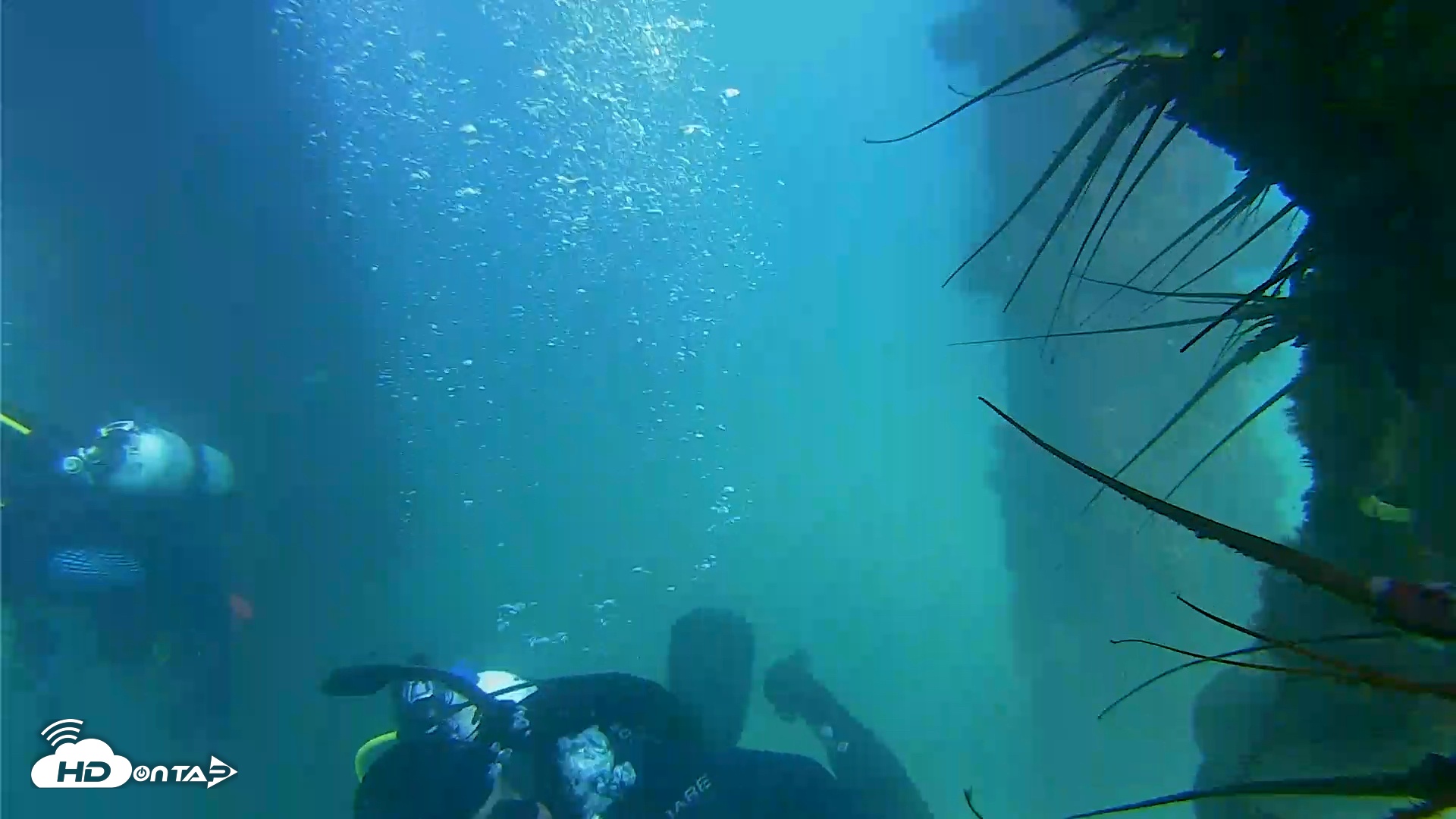 Snapshot of Scripps Pier Underwater Live Webcam taken Sep 10, 2025, 3:30pm PDT