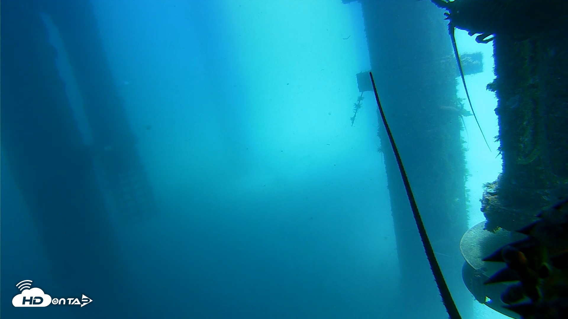 Snapshot of Scripps Pier Underwater Live Webcam taken Jul 25, 2026, 12:19pm PDT