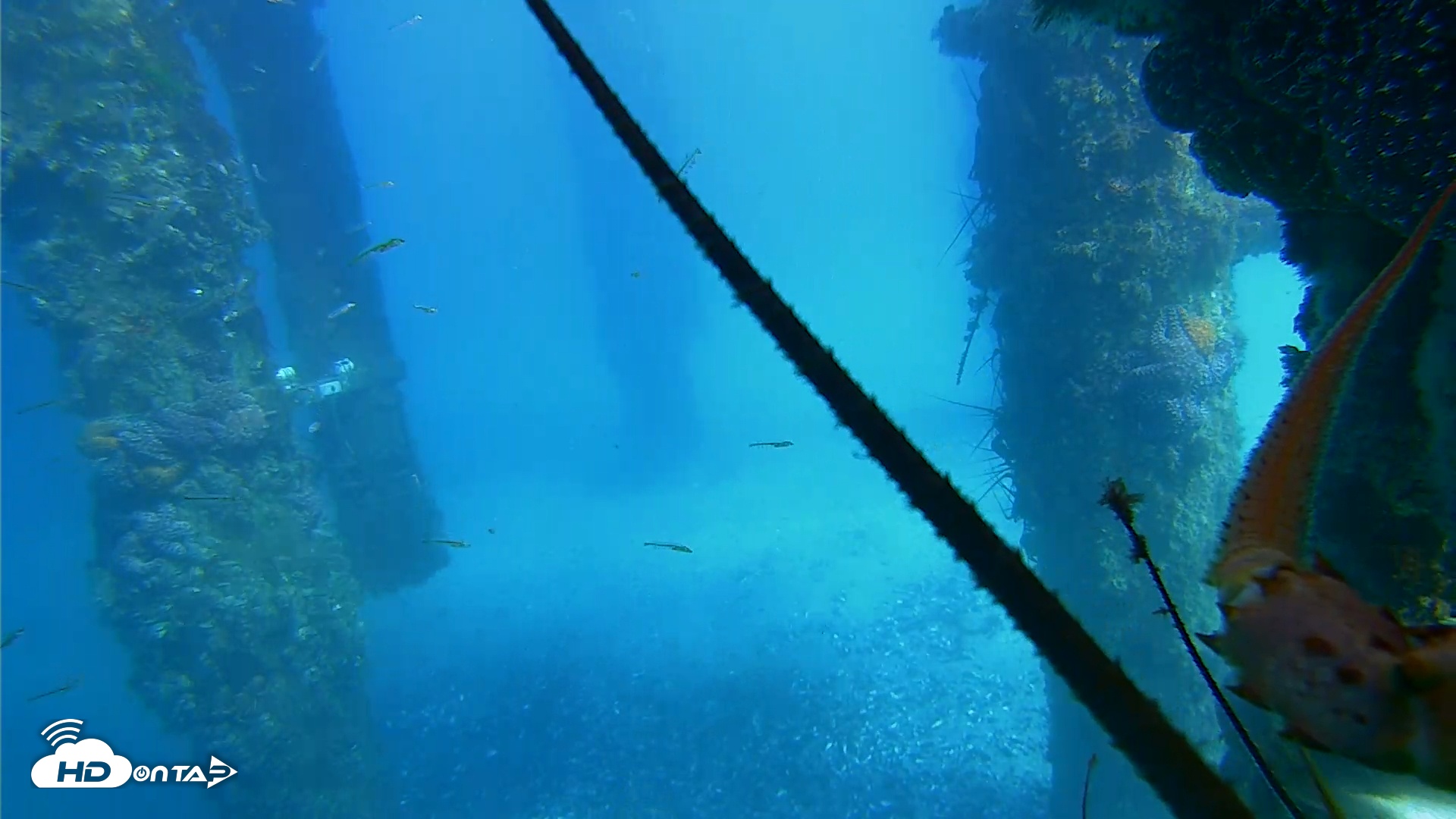 Snapshot of Scripps Pier Underwater Live Webcam taken Jan 27, 2026, 2:13pm PST