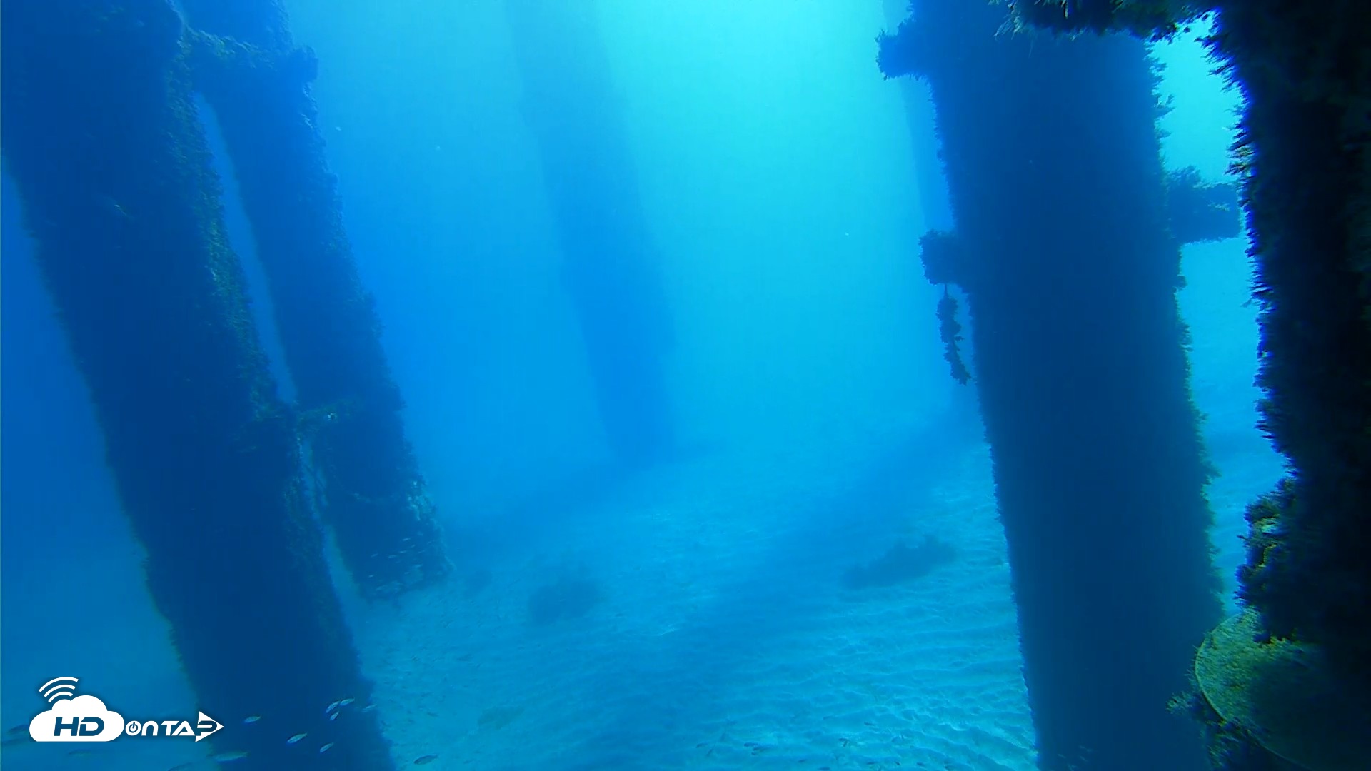 Snapshot of Scripps Pier Underwater Live Webcam taken Oct 5, 2026, 10:23am PDT