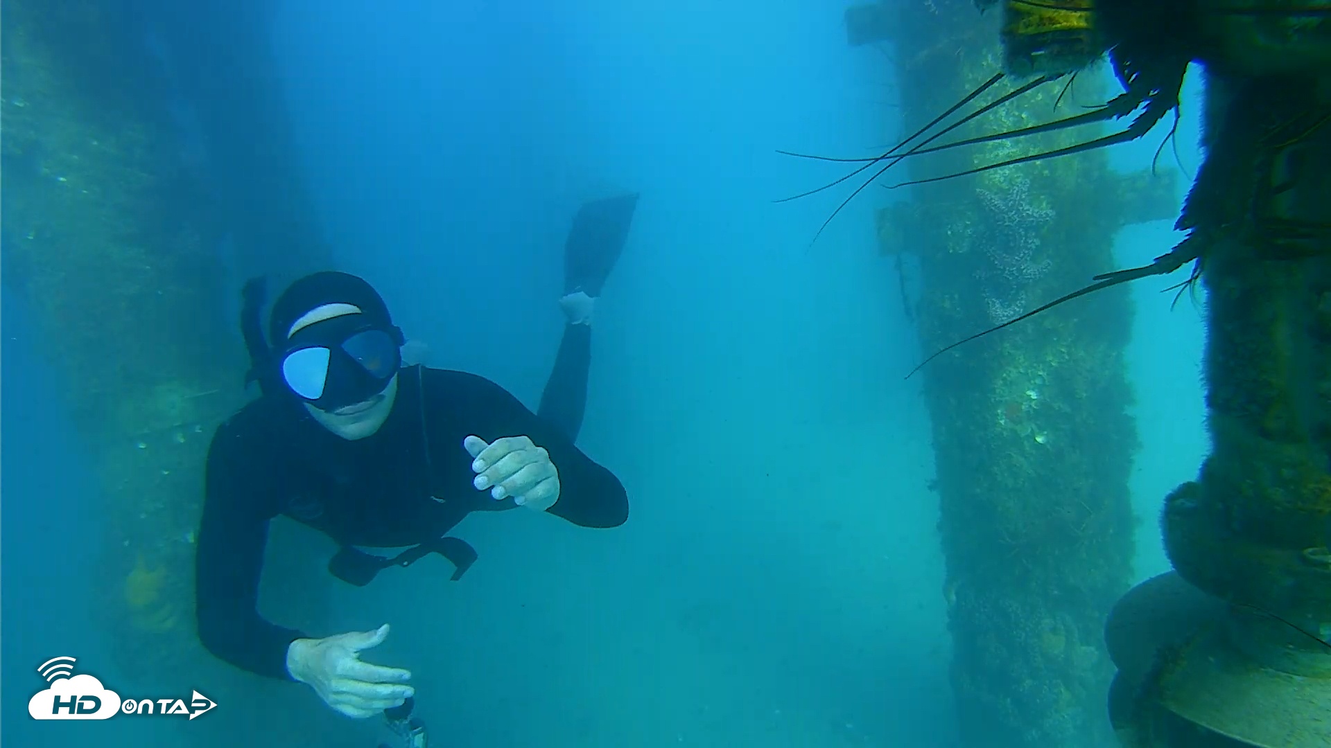 Snapshot of Scripps Pier Underwater Live Webcam taken Mar 14, 2026, 4:43pm PDT