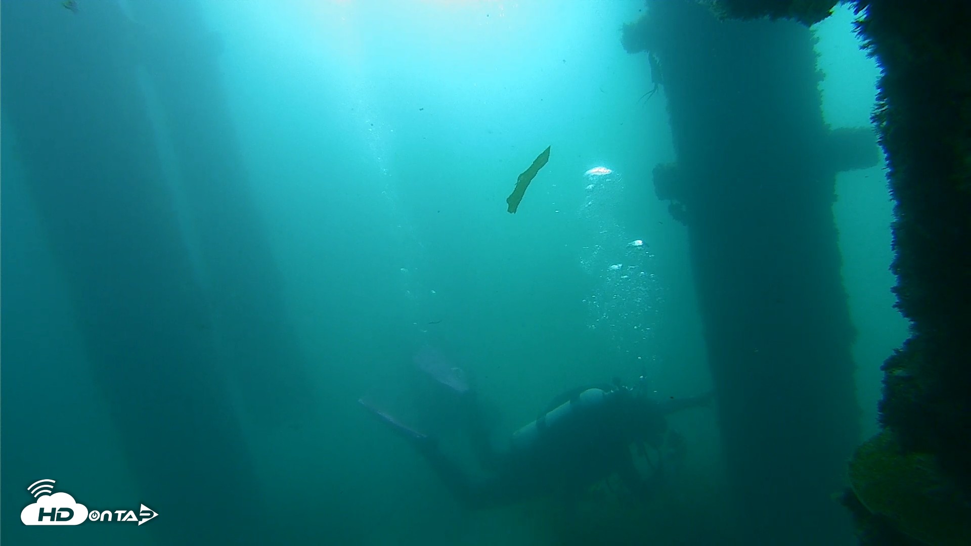 Snapshot of Scripps Pier Underwater Live Webcam taken Oct 2, 2026, 9:06am PDT