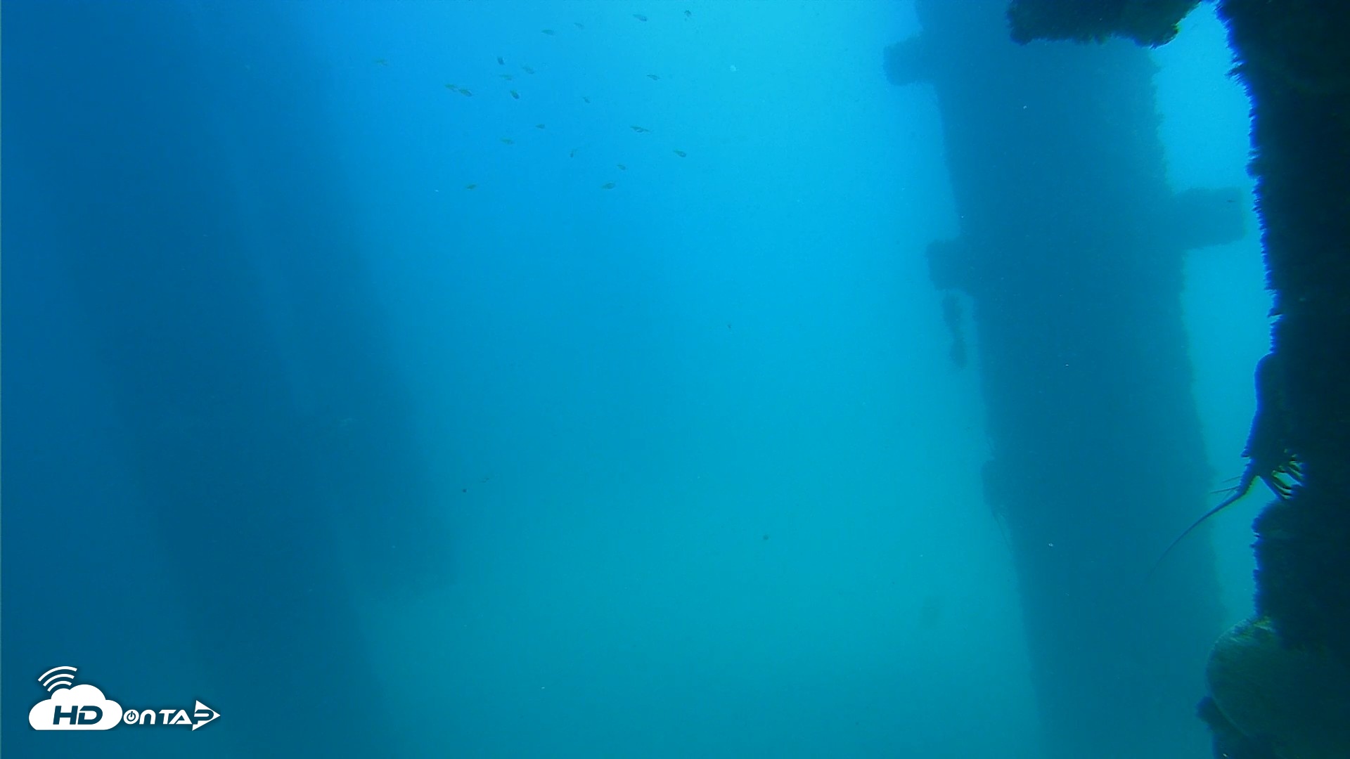 Snapshot of Scripps Pier Underwater Live Webcam taken Sep 16, 2026, 1:19pm PDT