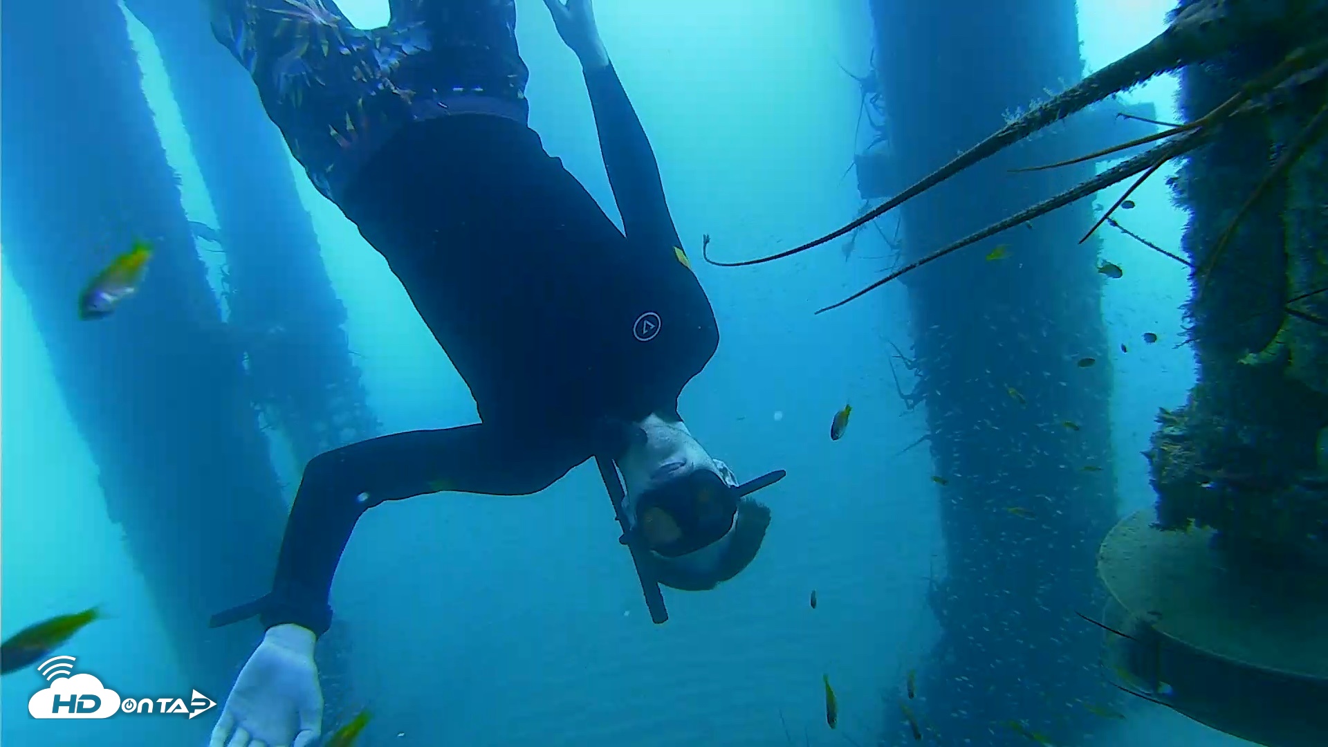 Snapshot of Scripps Pier Underwater Live Webcam taken Aug 8, 2026, 8:38am PDT