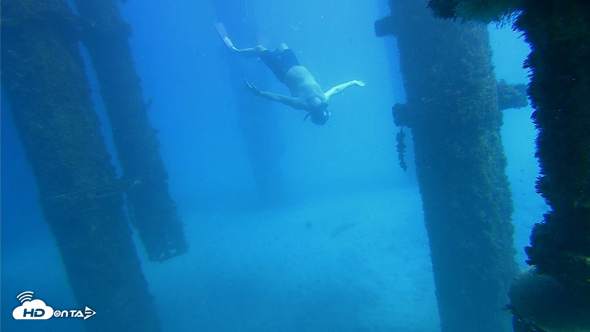 Snapshot of Scripps Pier Underwater Live Webcam taken Oct 19, 2026, 1:45pm PDT