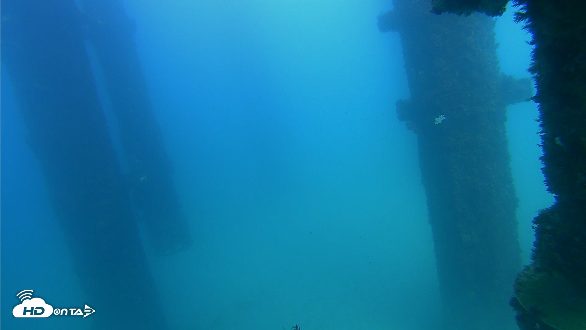 Snapshot of Scripps Pier Underwater Live Webcam taken Sep 20, 2026, 3:41pm PDT
