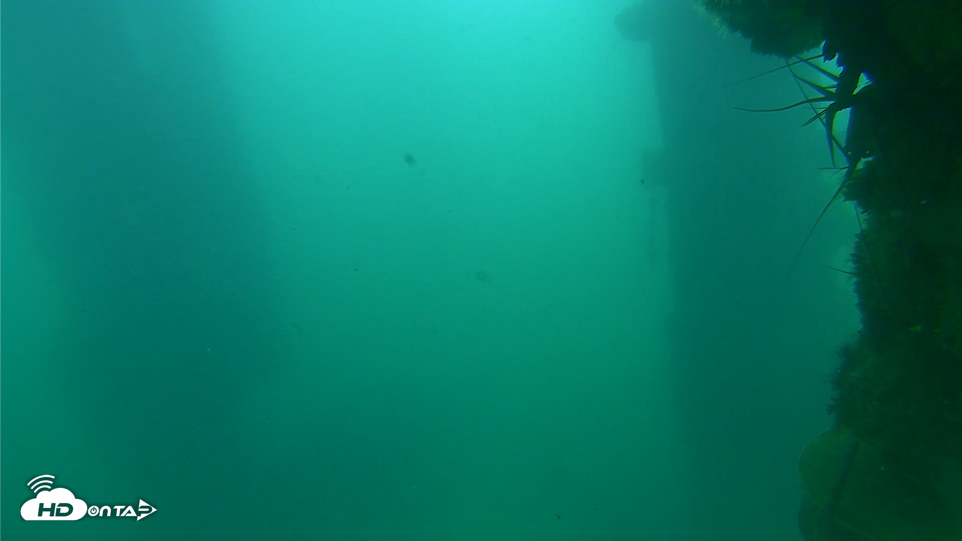 Snapshot of Scripps Pier Underwater Live Webcam taken Oct 26, 2025, 9:06am PDT