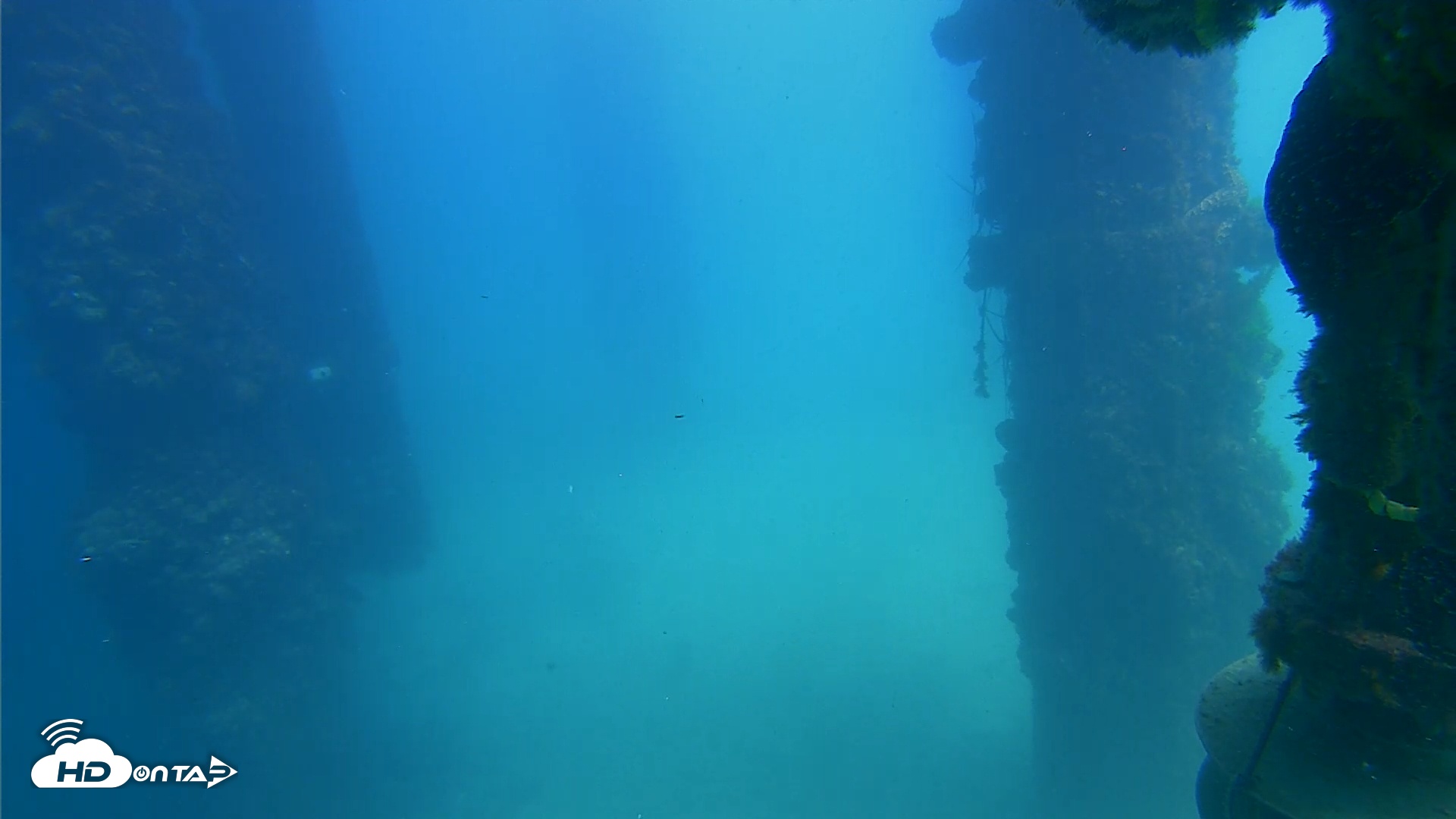 Snapshot of Scripps Pier Underwater Live Webcam taken Sep 18, 2025, 1:41pm PDT