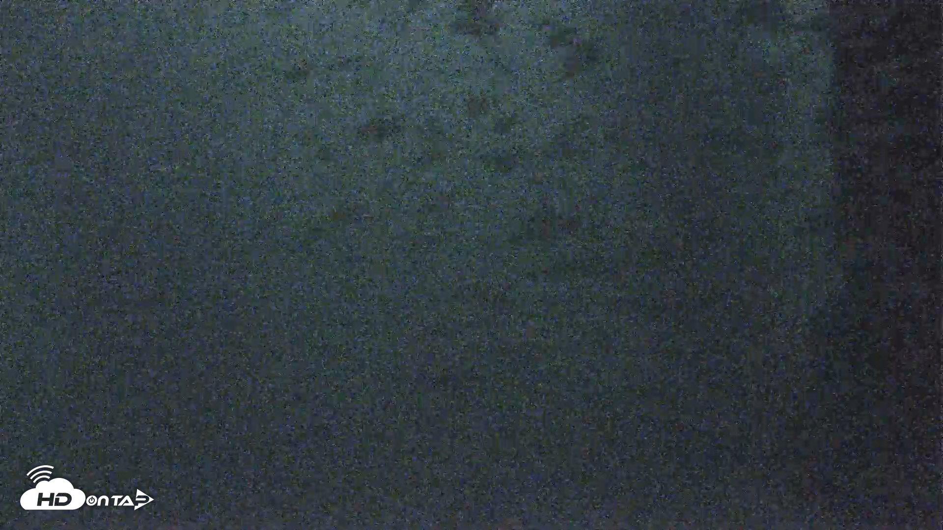 Snapshot of Scripps Pier Underwater Live Webcam taken Aug 19, 2026, 7:56pm PDT