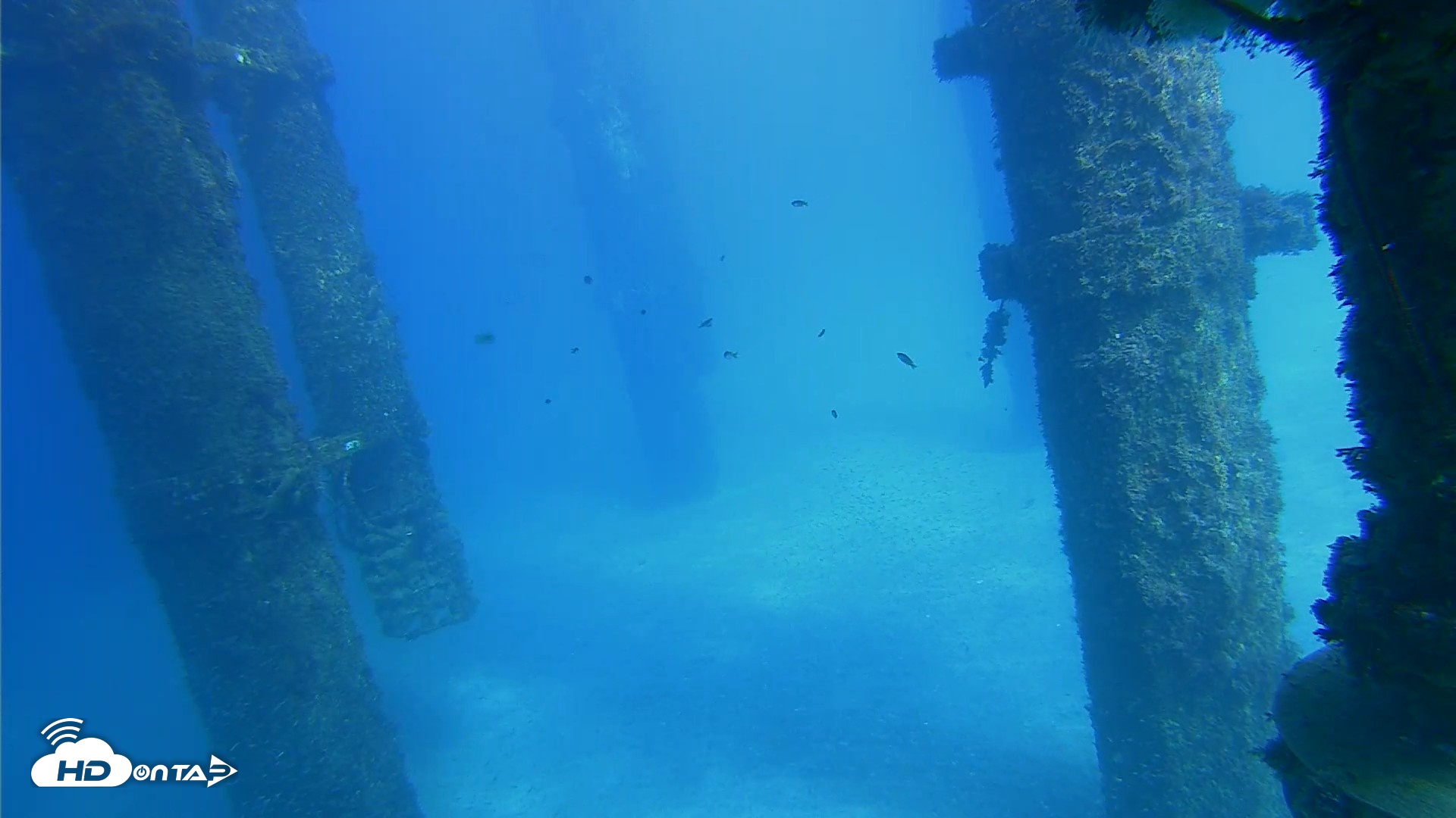 Snapshot of Scripps Pier Underwater Live Webcam taken Oct 16, 2026, 3:12pm PDT