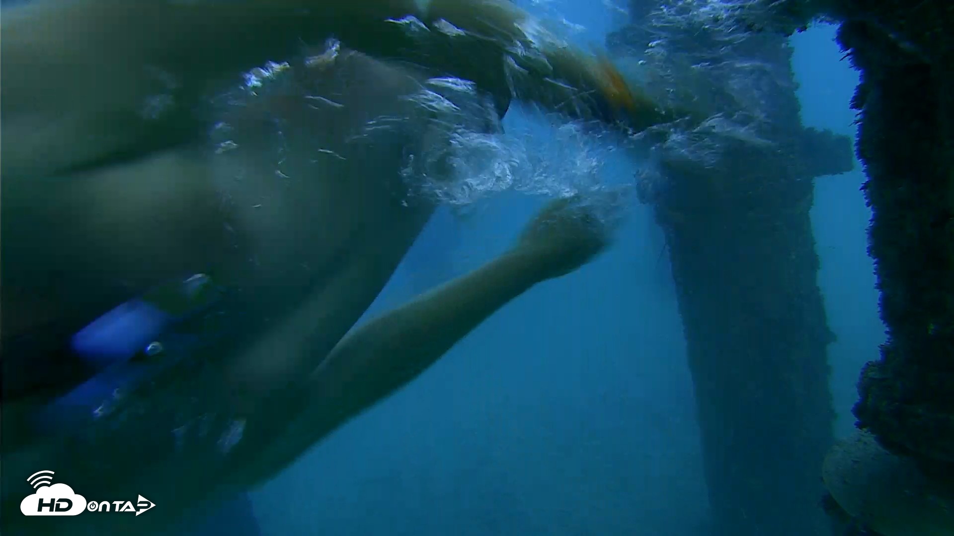 Snapshot of Scripps Pier Underwater Live Webcam taken Oct 19, 2026, 5:59pm PDT