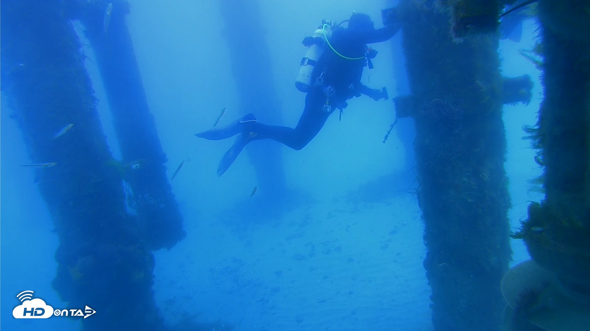Snapshot of Scripps Pier Underwater Live Webcam taken Mar 31, 2026, 10:05am PDT