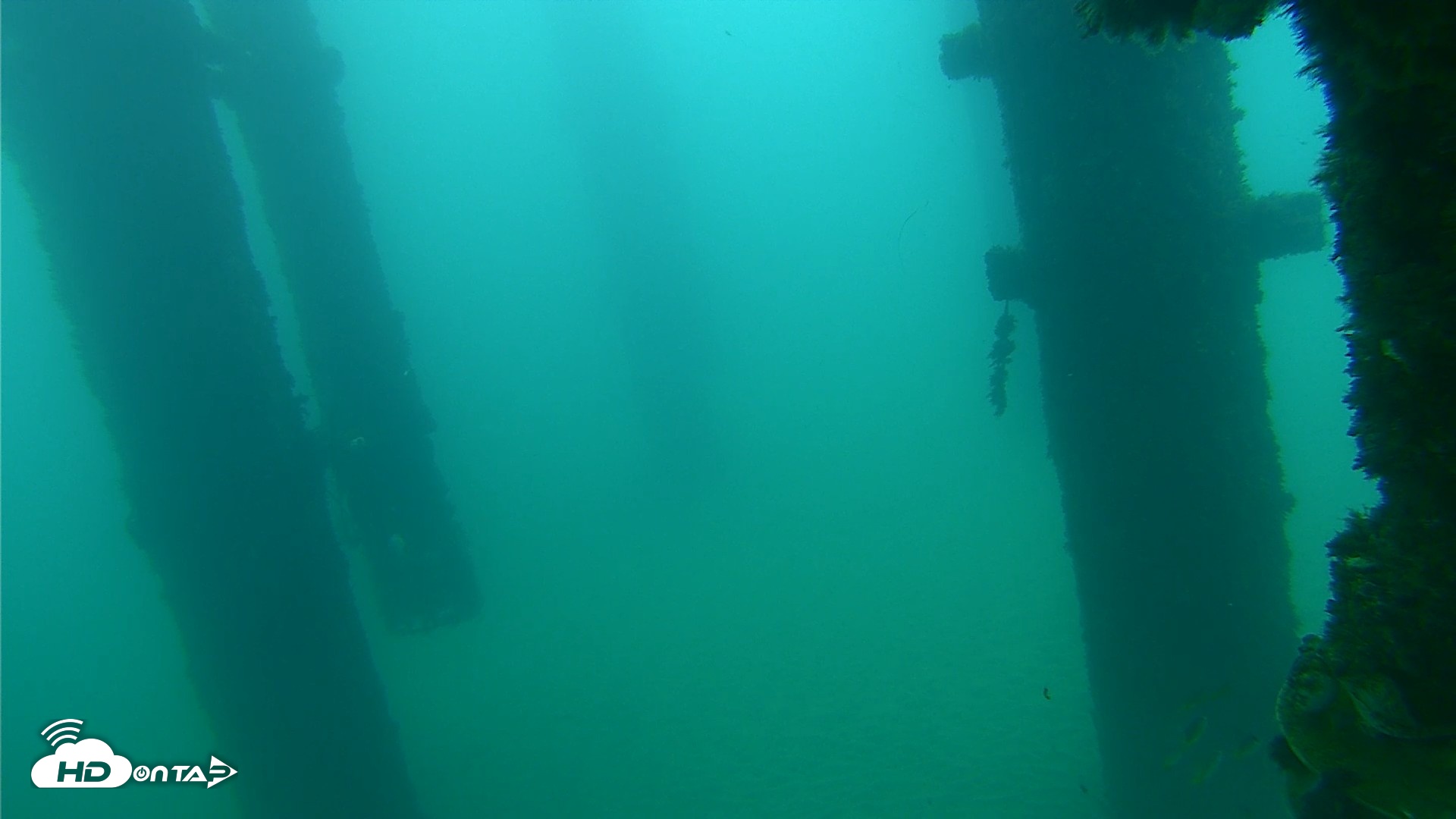 Snapshot of Scripps Pier Underwater Live Webcam taken Sep 22, 2026, 7:28am PDT