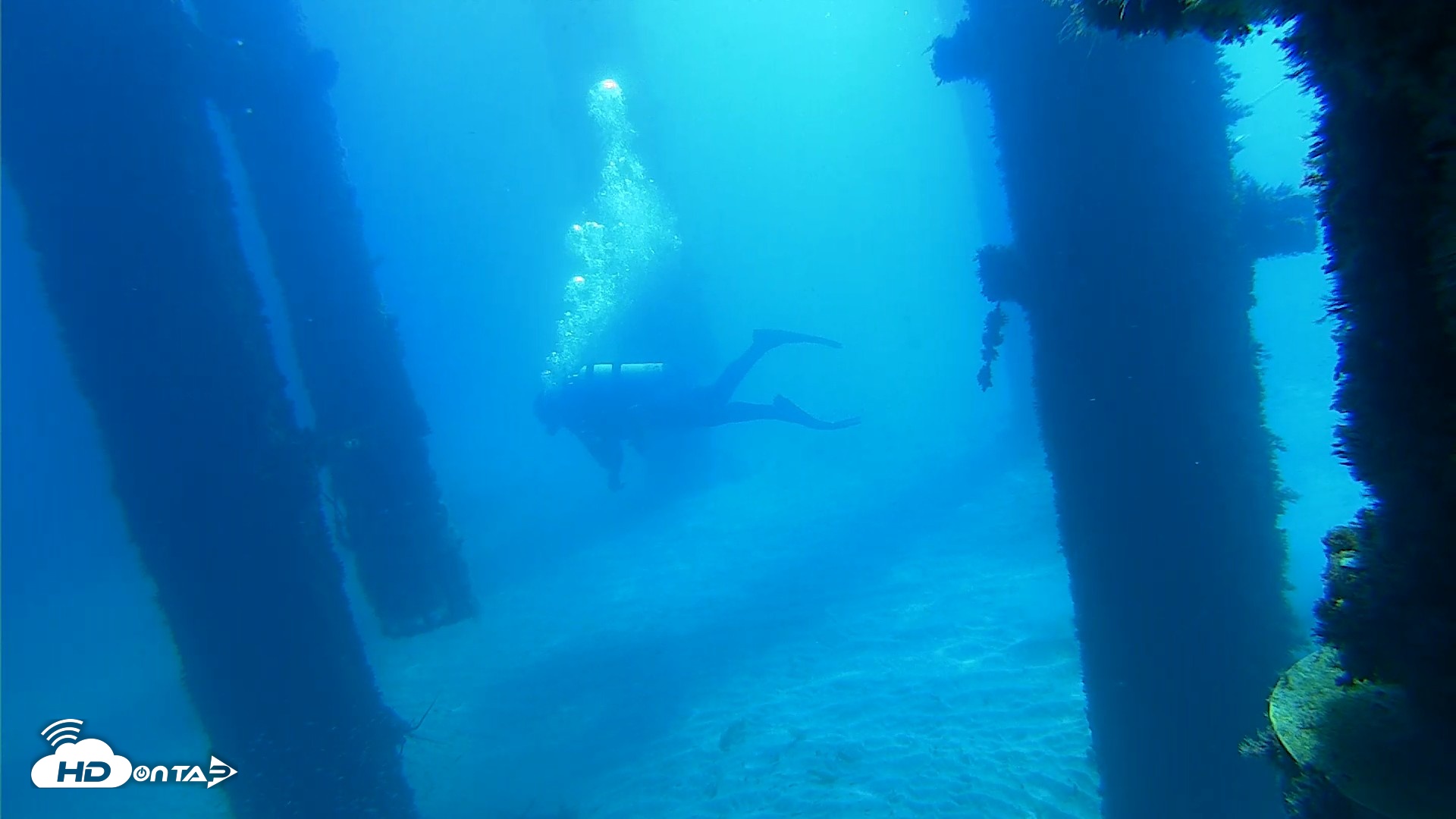 Snapshot of Scripps Pier Underwater Live Webcam taken Oct 5, 2026, 10:48am PDT