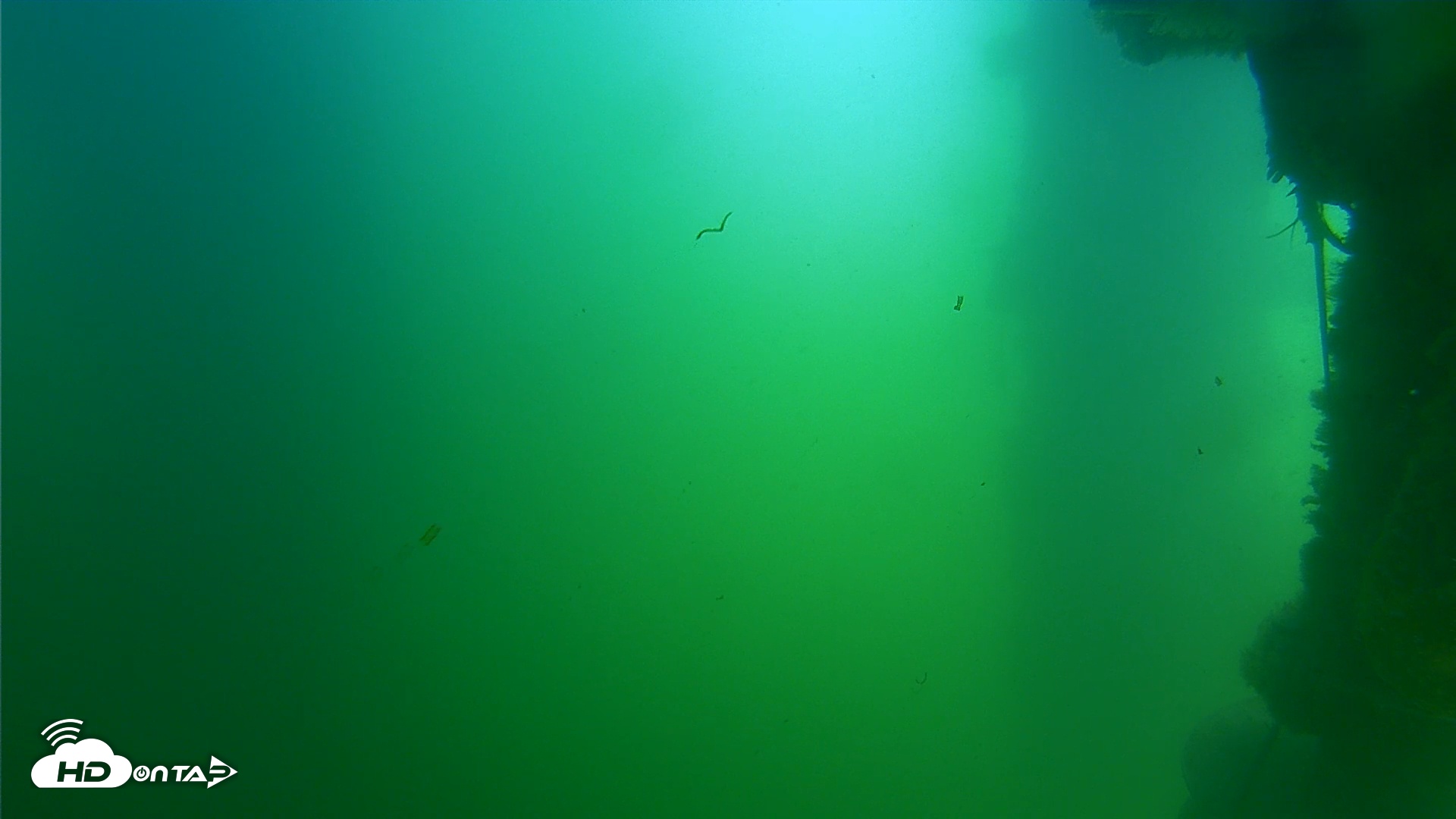 Snapshot of Scripps Pier Underwater Live Webcam taken Jul 13, 2025, 11:51am PDT