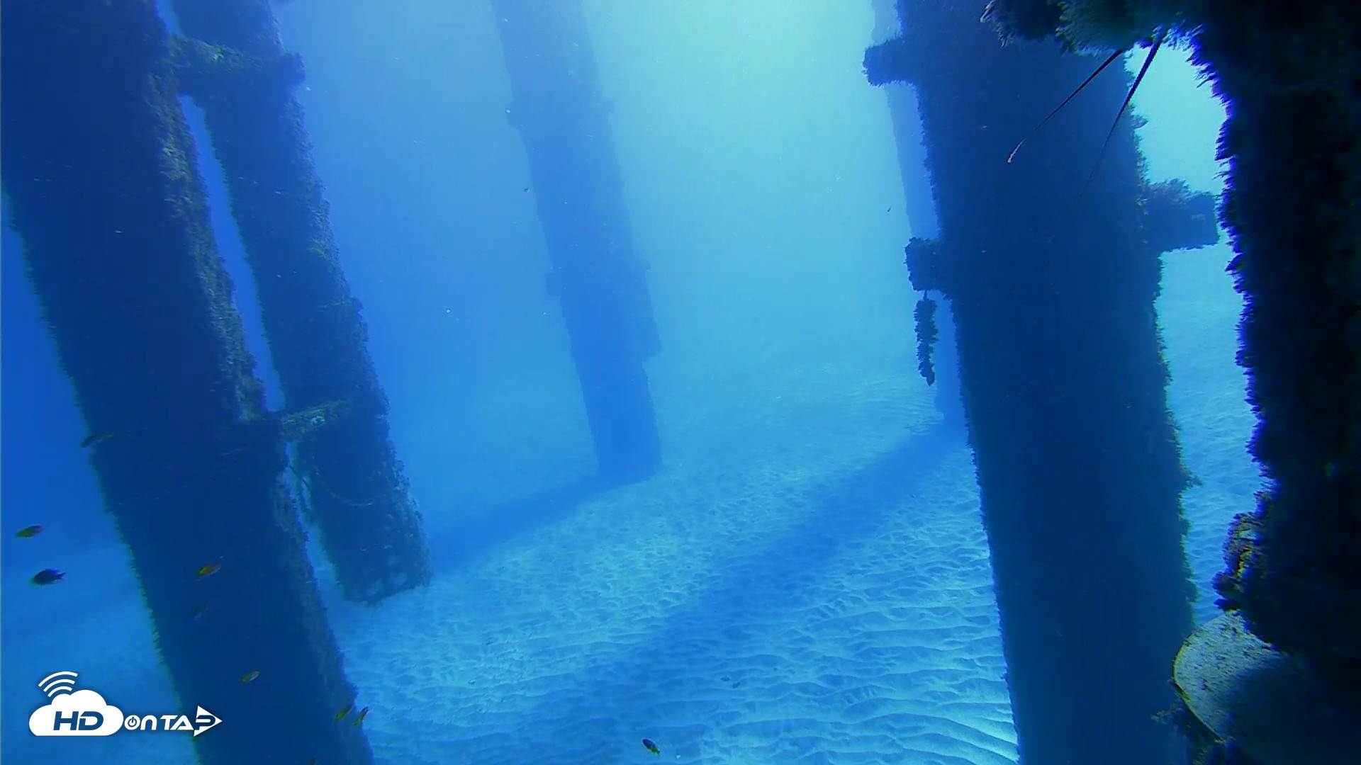Snapshot of Scripps Pier Underwater Live Webcam taken Oct 19, 2026, 10:09am PDT