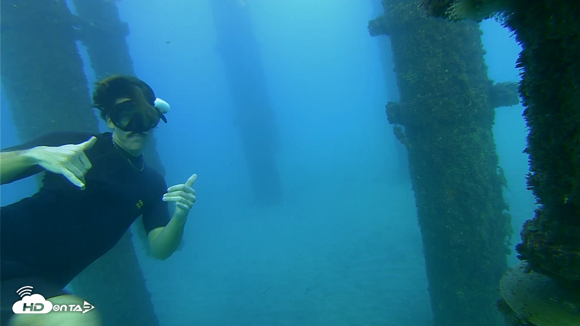 Snapshot of Scripps Pier Underwater Live Webcam taken Oct 19, 2026, 5:46pm PDT