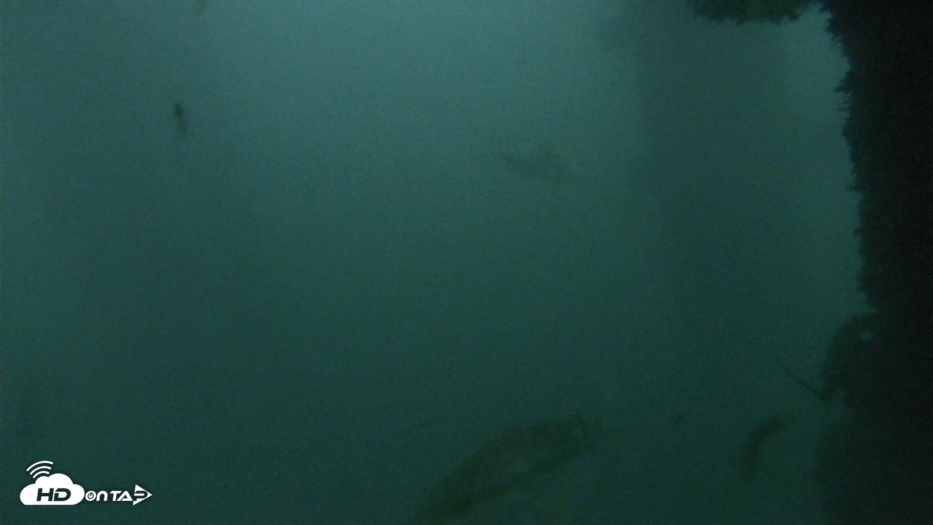 Snapshot of Scripps Pier Underwater Live Webcam taken Oct 12, 2026, 6:40am PDT