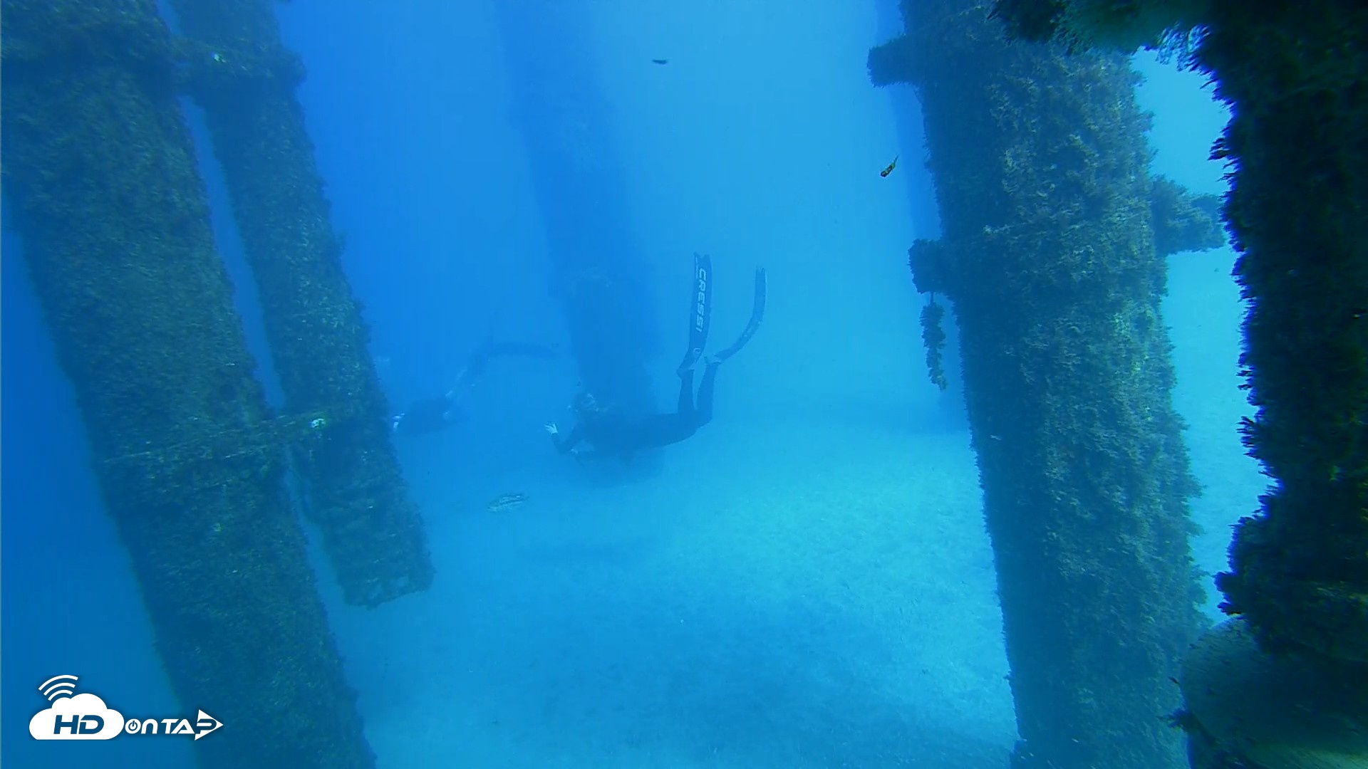 Snapshot of Scripps Pier Underwater Live Webcam taken Oct 19, 2026, 2:55pm PDT