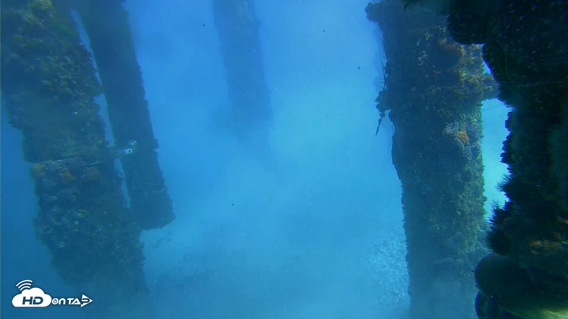 Snapshot of Scripps Pier Underwater Live Webcam taken Feb 2, 2026, 1:36pm PST