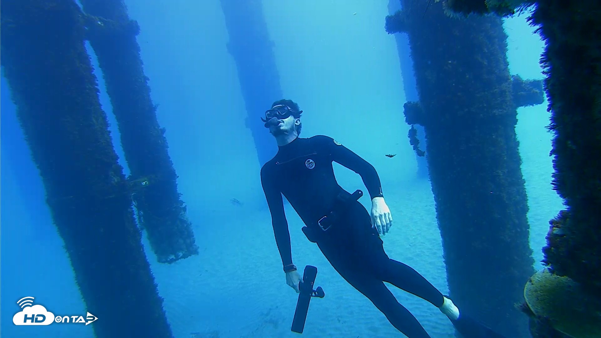 Snapshot of Scripps Pier Underwater Live Webcam taken Oct 7, 2026, 11:55am PDT