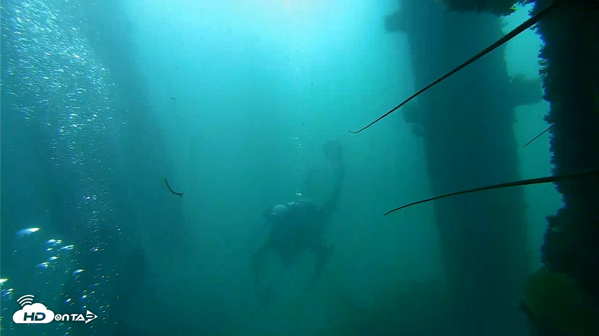 Snapshot of Scripps Pier Underwater Live Webcam taken Oct 2, 2026, 9:06am PDT