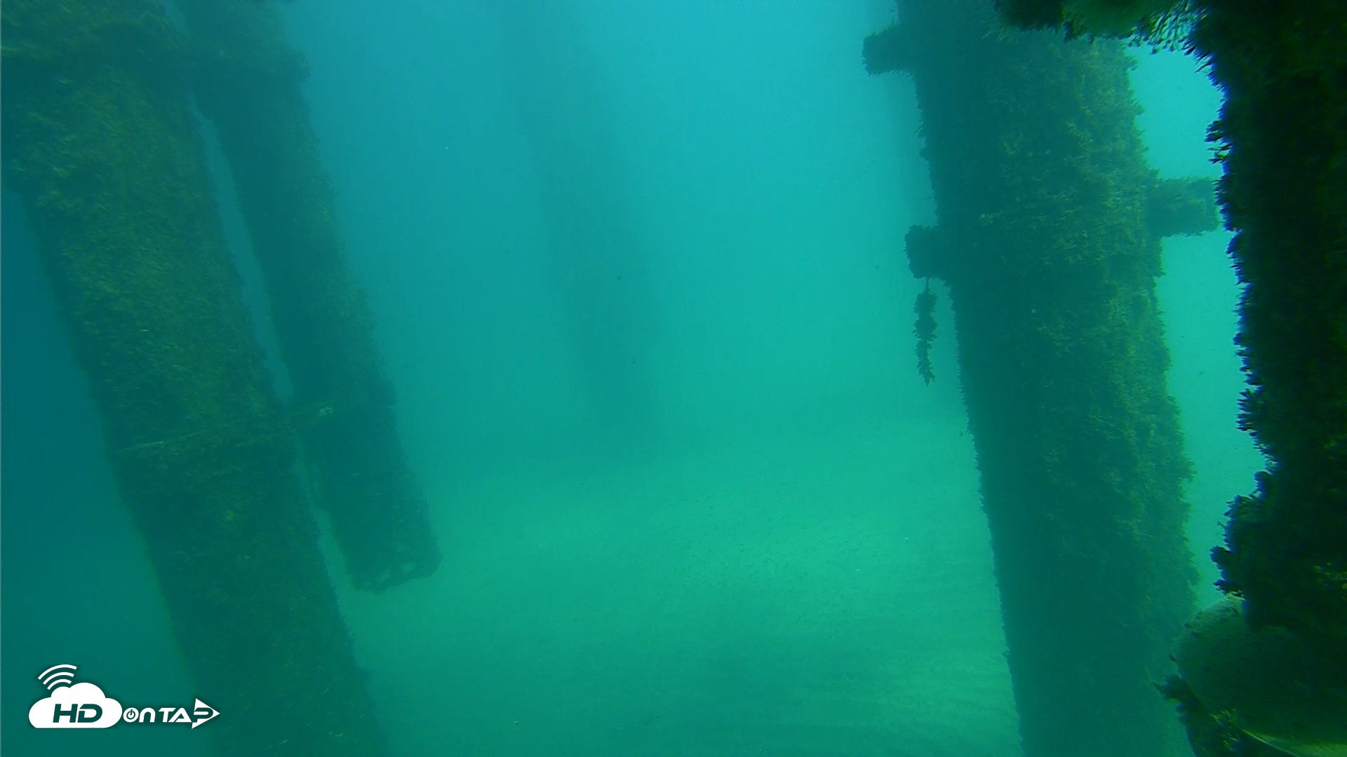 Snapshot of Scripps Pier Underwater Live Webcam taken Oct 16, 2026, 1:50pm PDT