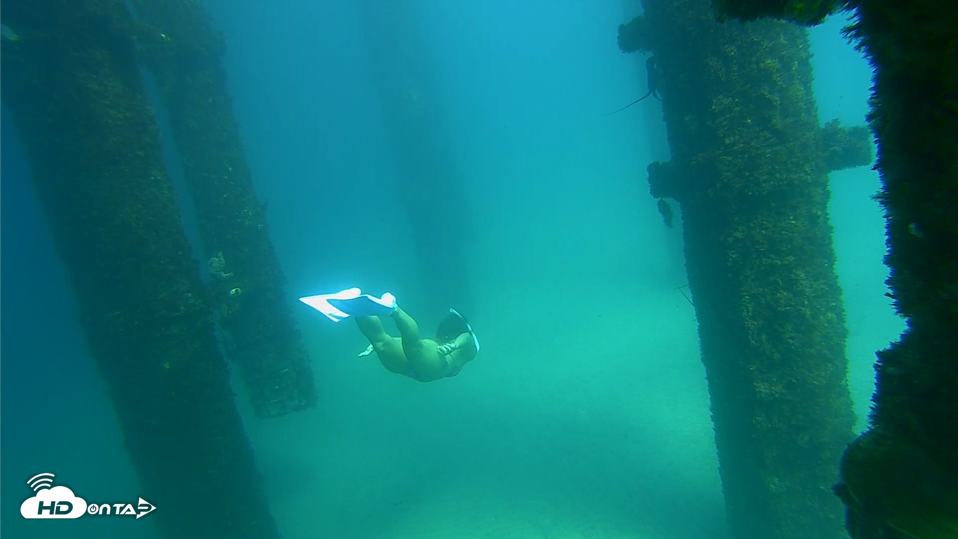 Snapshot of Scripps Pier Underwater Live Webcam taken Sep 24, 2026, 2:49pm PDT