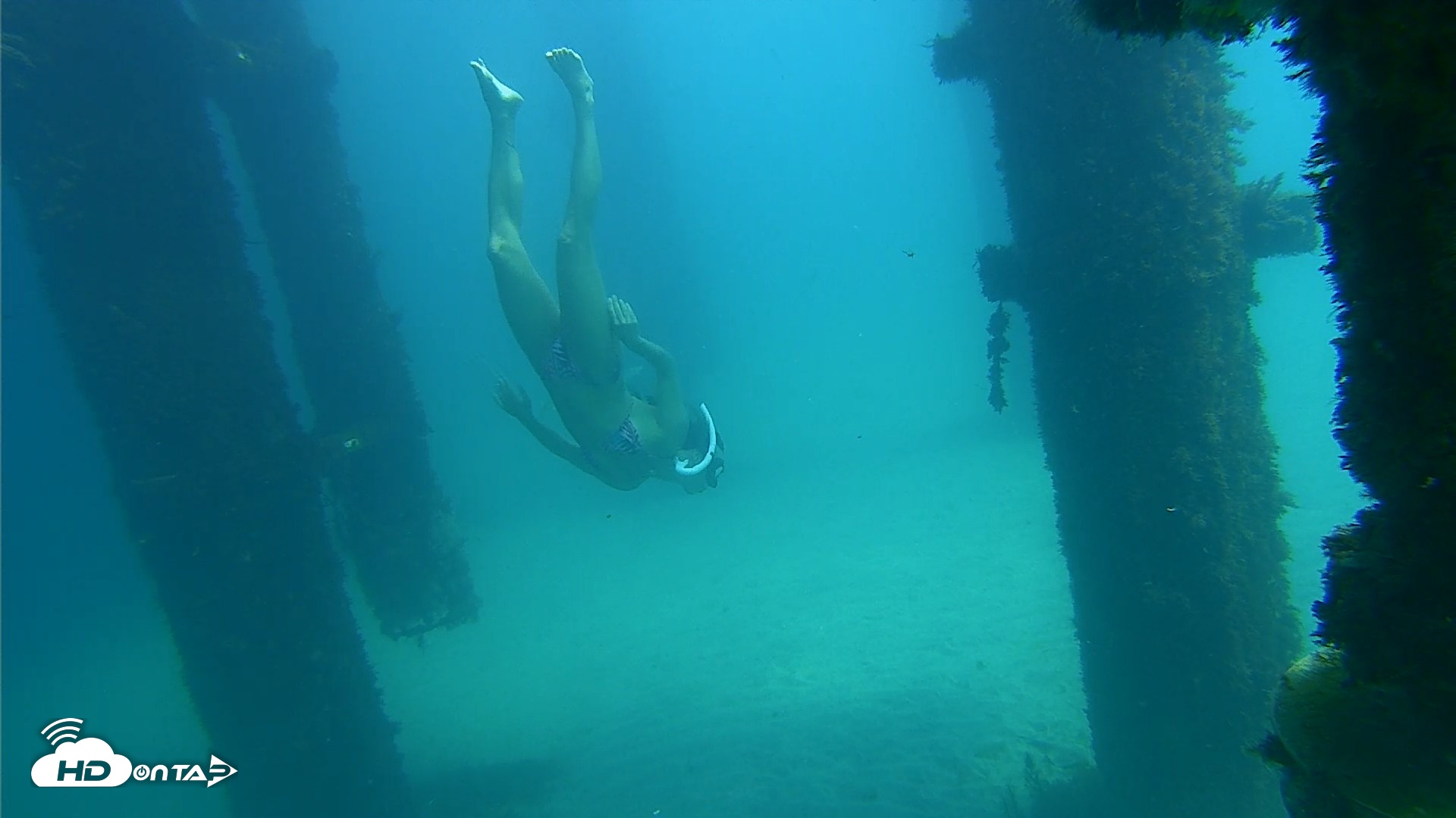 Snapshot of Scripps Pier Underwater Live Webcam taken Oct 6, 2026, 1:24pm PDT