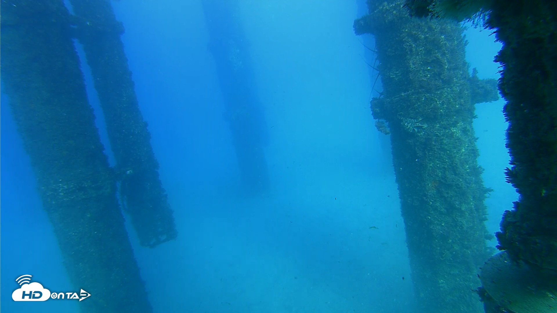 Snapshot of Scripps Pier Underwater Live Webcam taken Oct 19, 2026, 4:43pm PDT