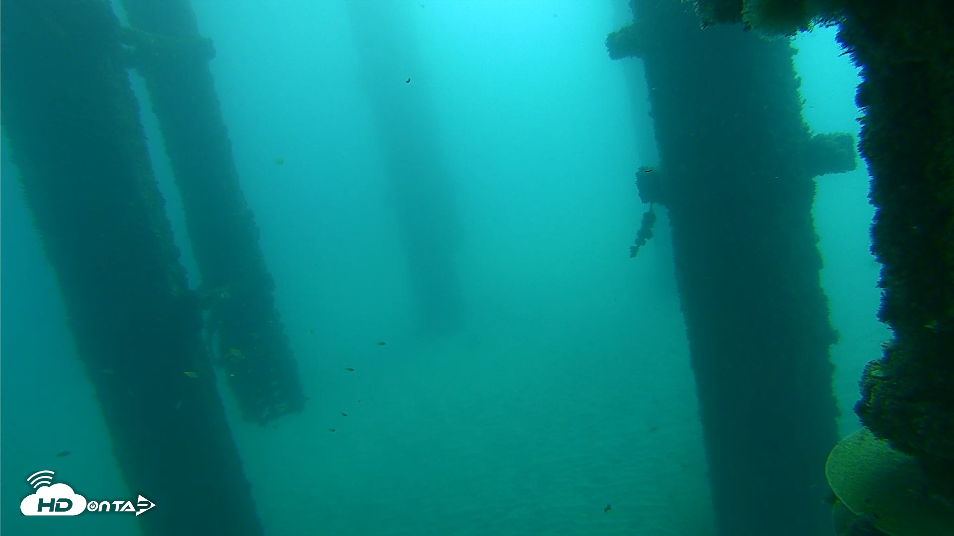 Snapshot of Scripps Pier Underwater Live Webcam taken Oct 22, 2026, 9:34am PDT
