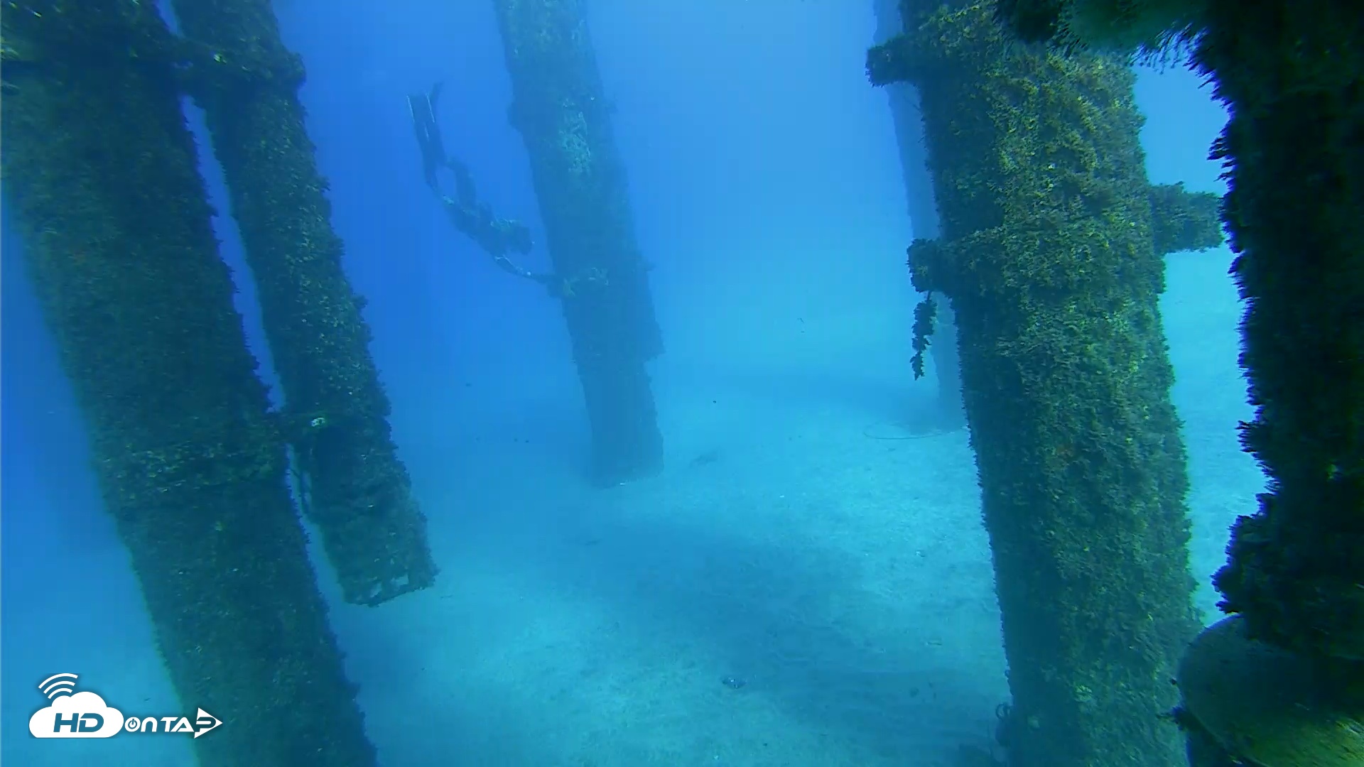 Snapshot of Scripps Pier Underwater Live Webcam taken Oct 18, 2026, 4:17pm PDT