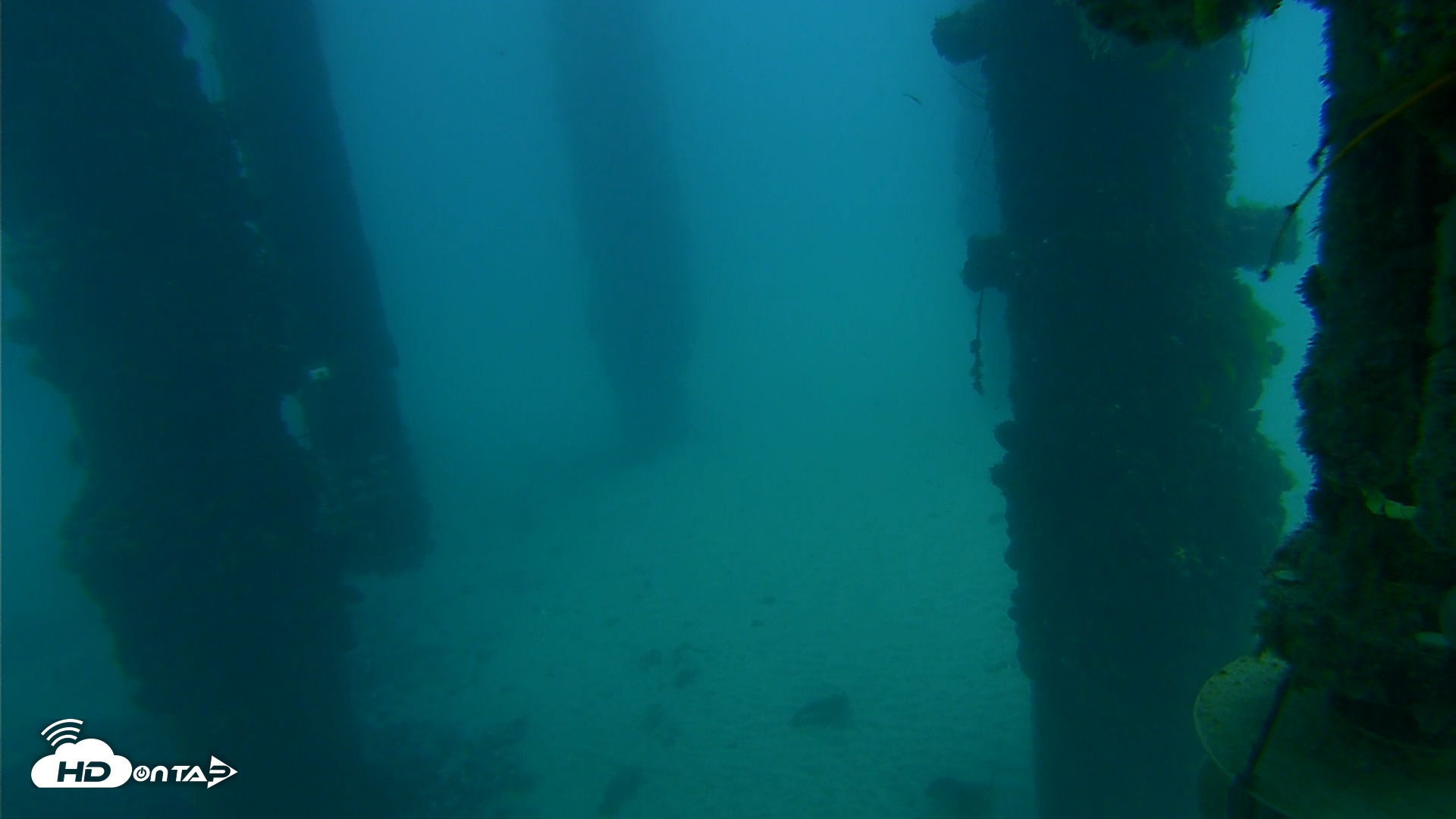 Snapshot of Scripps Pier Underwater Live Webcam taken Sep 13, 2025, 7:04am PDT