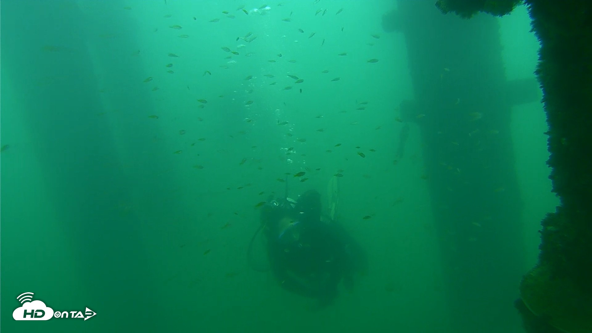 Snapshot of Scripps Pier Underwater Live Webcam taken Sep 24, 2026, 8:52am PDT