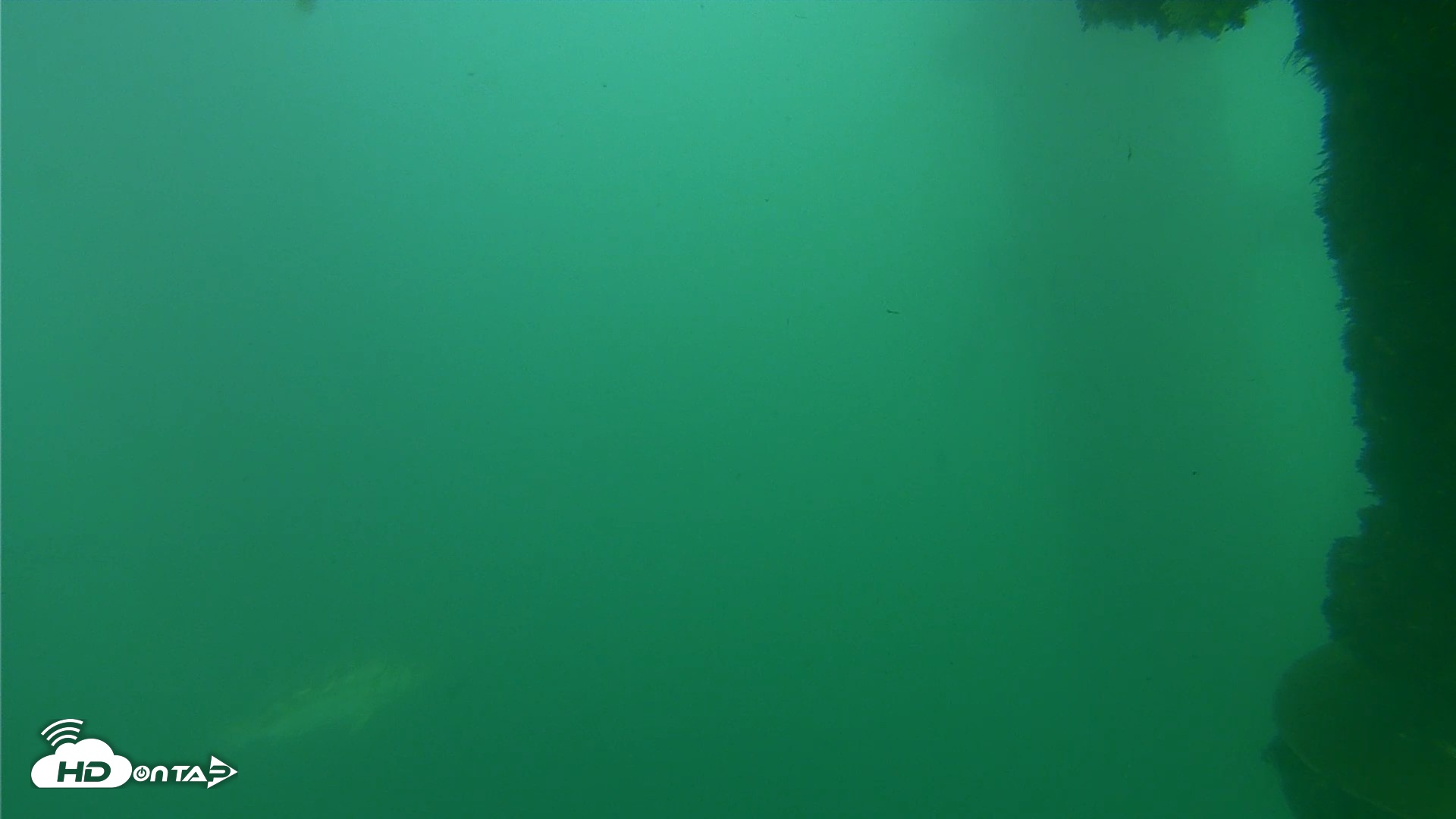 Snapshot of Scripps Pier Underwater Live Webcam taken Oct 12, 2026, 4:47pm PDT