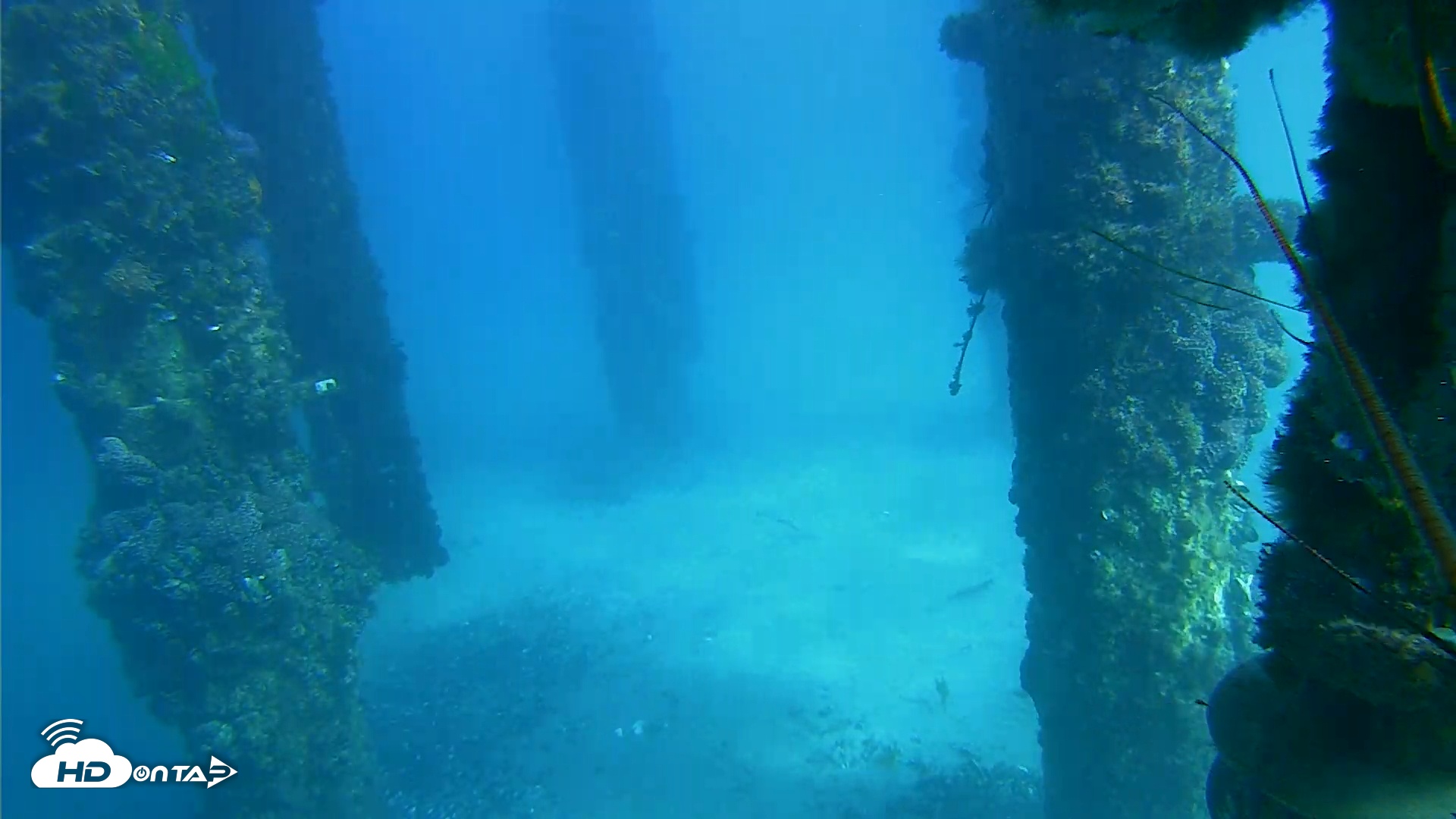 Snapshot of Scripps Pier Underwater Live Webcam taken Dec 10, 2025, 1:56pm PST