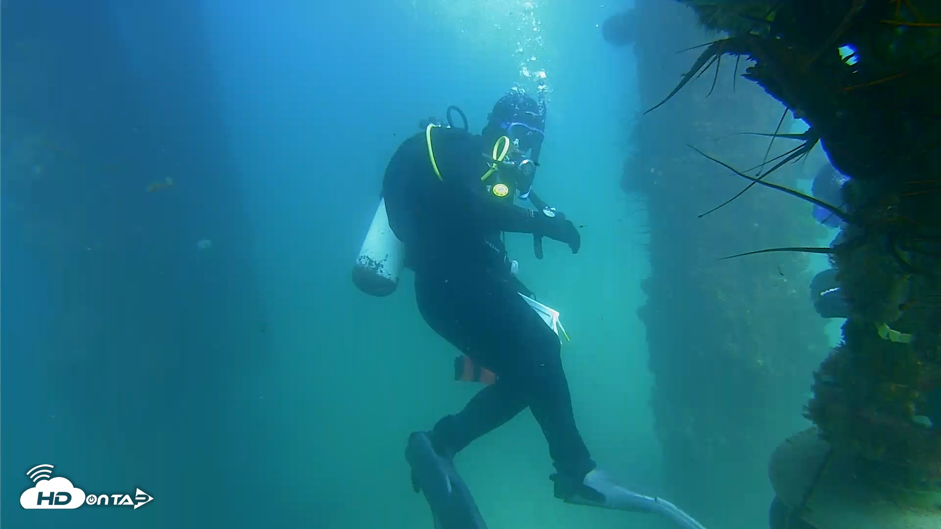 Snapshot of Scripps Pier Underwater Live Webcam taken Sep 10, 2025, 3:31pm PDT