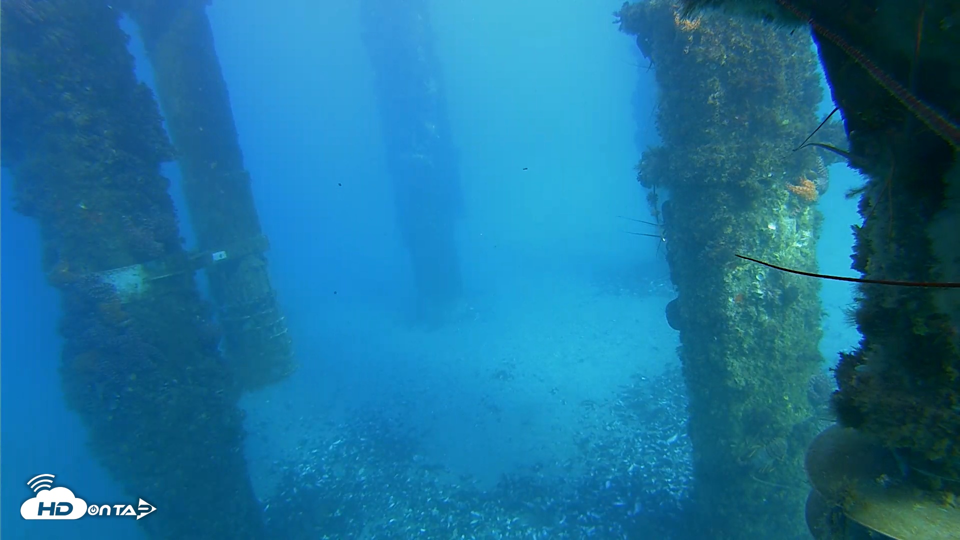 Snapshot of Scripps Pier Underwater Live Webcam taken Jan 18, 2026, 3:55pm PST