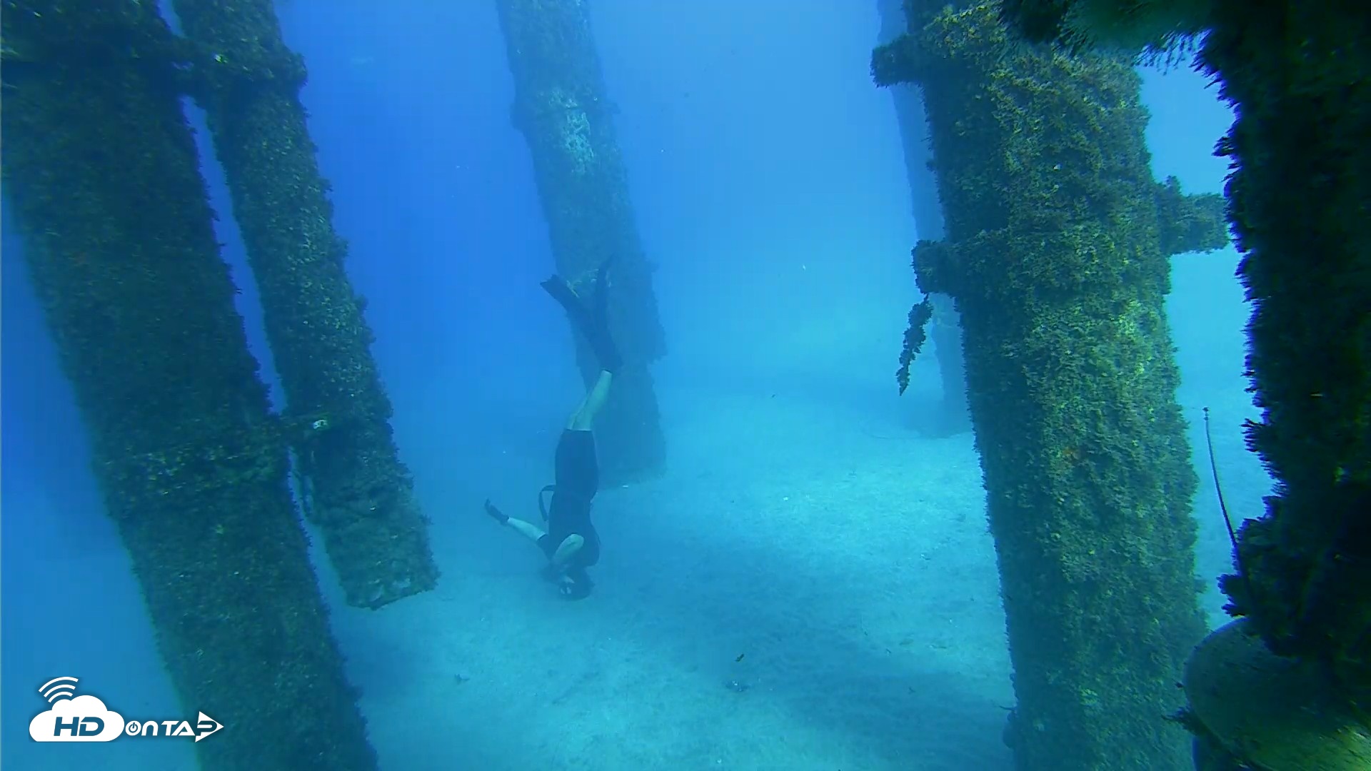 Snapshot of Scripps Pier Underwater Live Webcam taken Oct 18, 2026, 4:14pm PDT