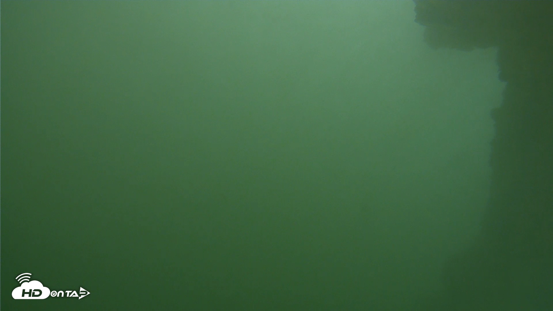 Snapshot of Scripps Pier Underwater Live Webcam taken May 4, 2025, 9:32am PDT