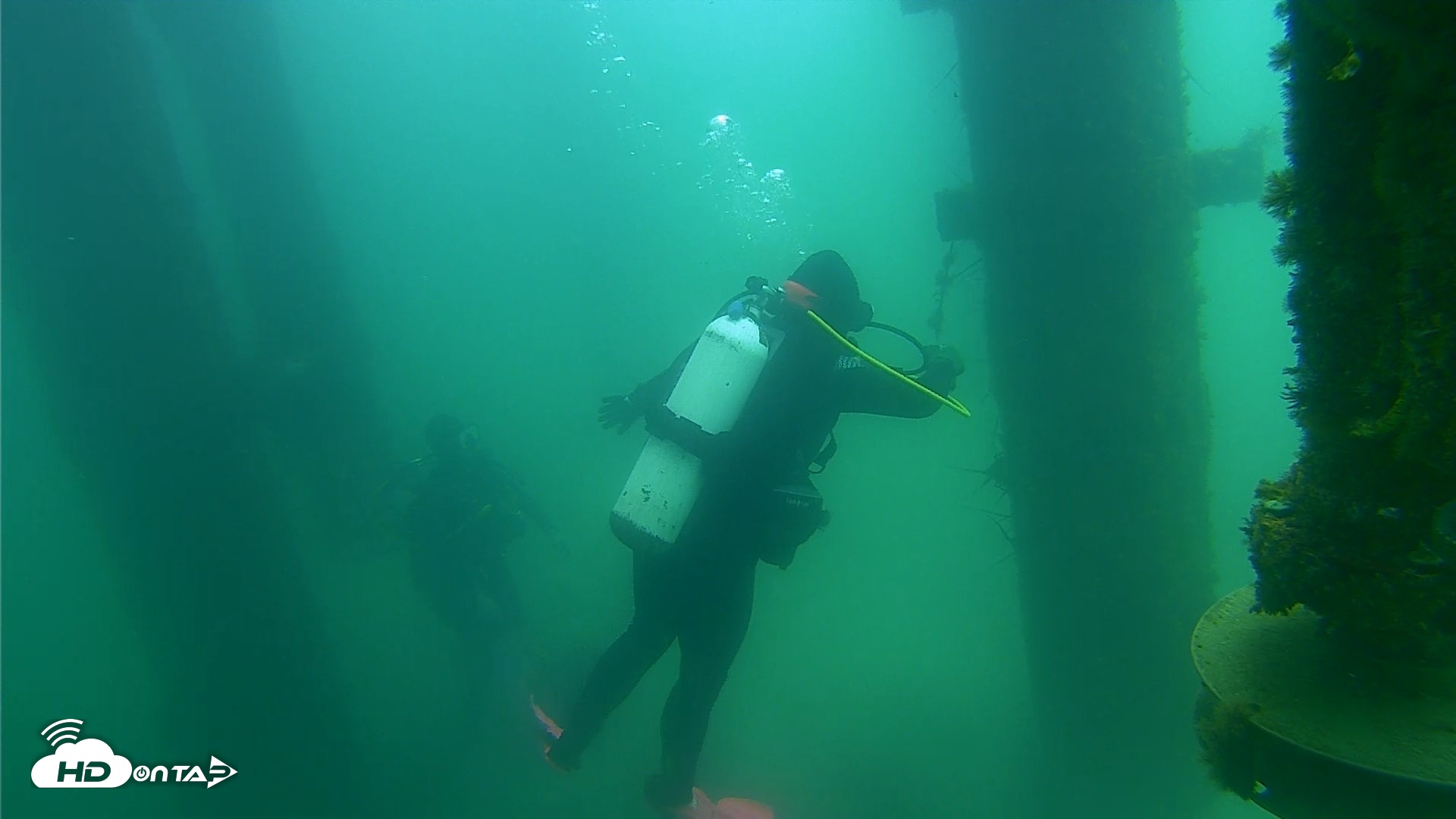 Snapshot of Scripps Pier Underwater Live Webcam taken Aug 14, 2026, 12:03pm PDT