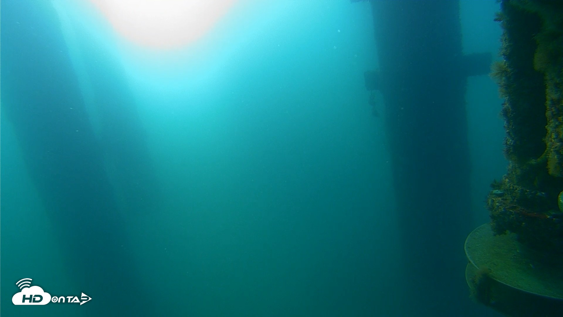Snapshot of Scripps Pier Underwater Live Webcam taken Aug 17, 2026, 7:23am PDT