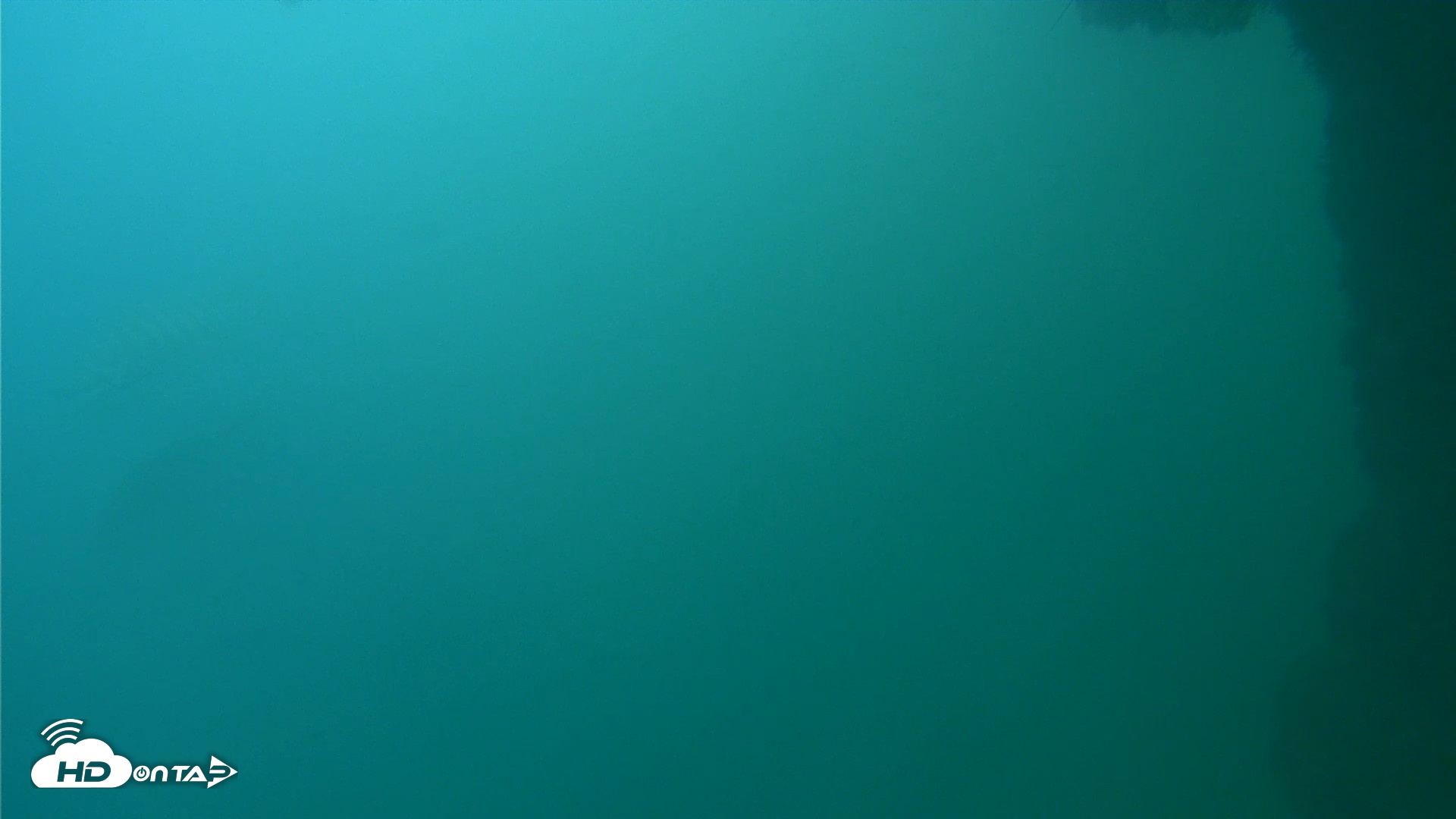 Snapshot of Scripps Pier Underwater Live Webcam taken Oct 11, 2026, 2:28pm PDT