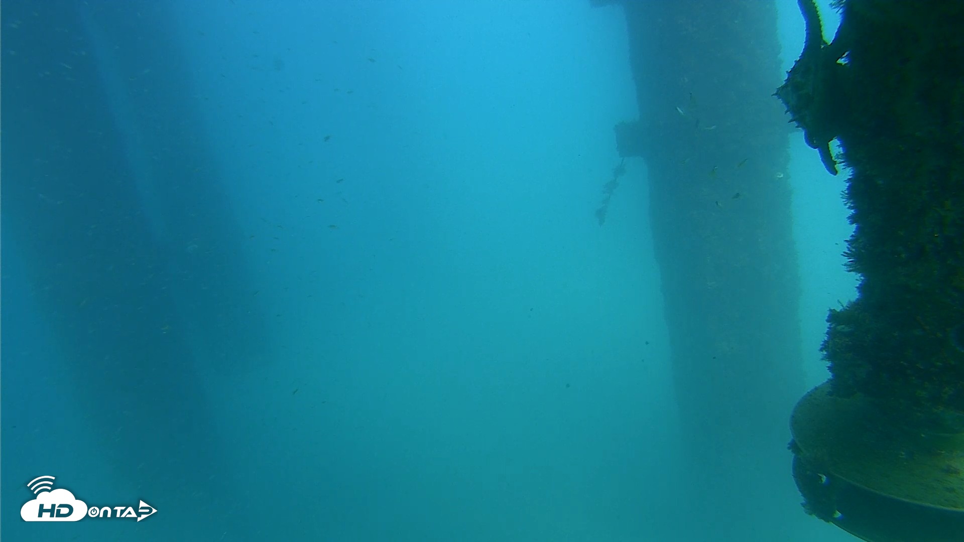 Snapshot of Scripps Pier Underwater Live Webcam taken Aug 27, 2026, 3:21pm PDT